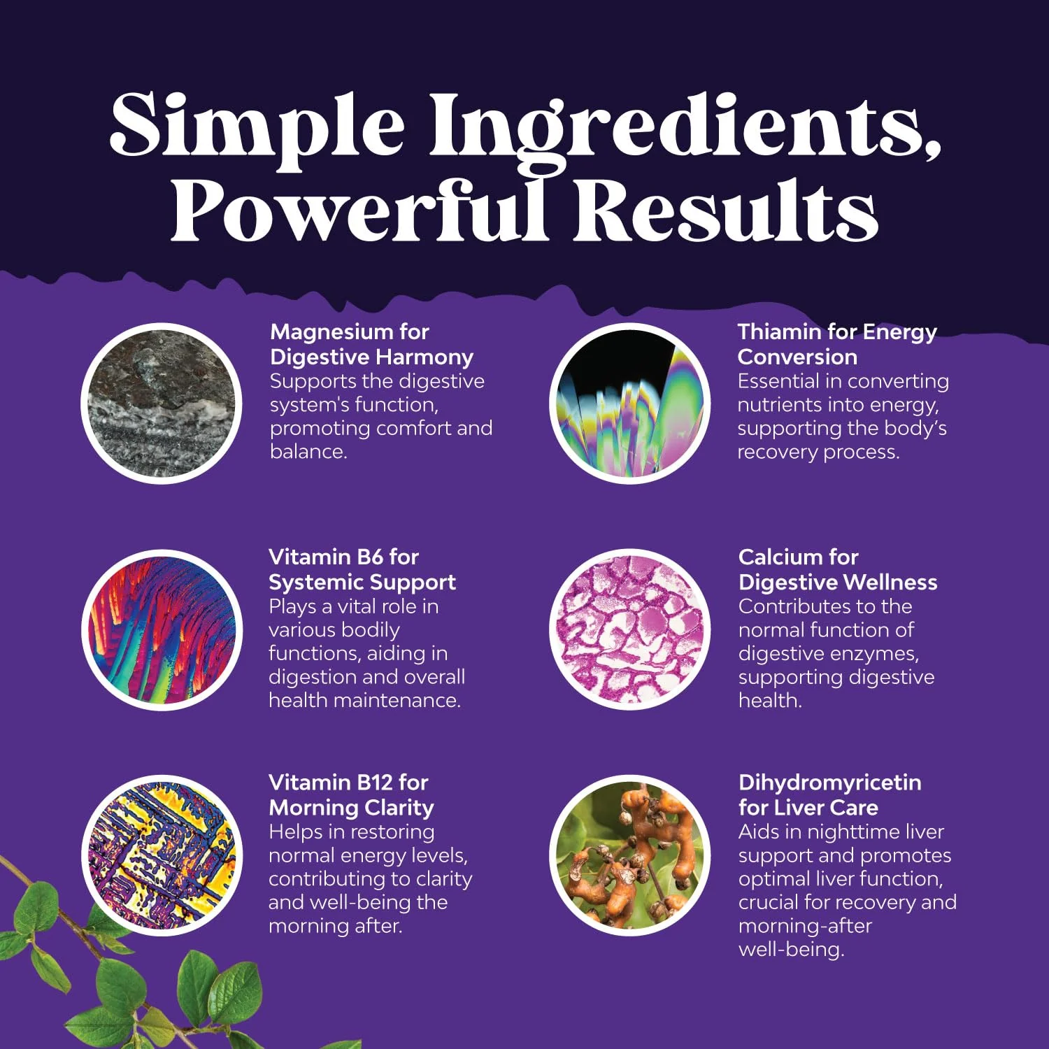 Natures Craft Nighttime Liver Detox & Hydration Pills – DHM + Milk Thistle (240 Capsules) - Image 4