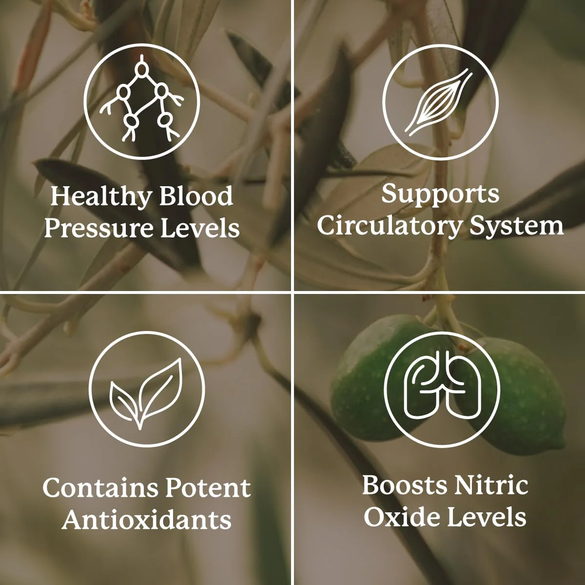 Nature's Sunshine Blood Pressurex 60 Capsules – Supports Normal Blood Pressure Range - Image 10