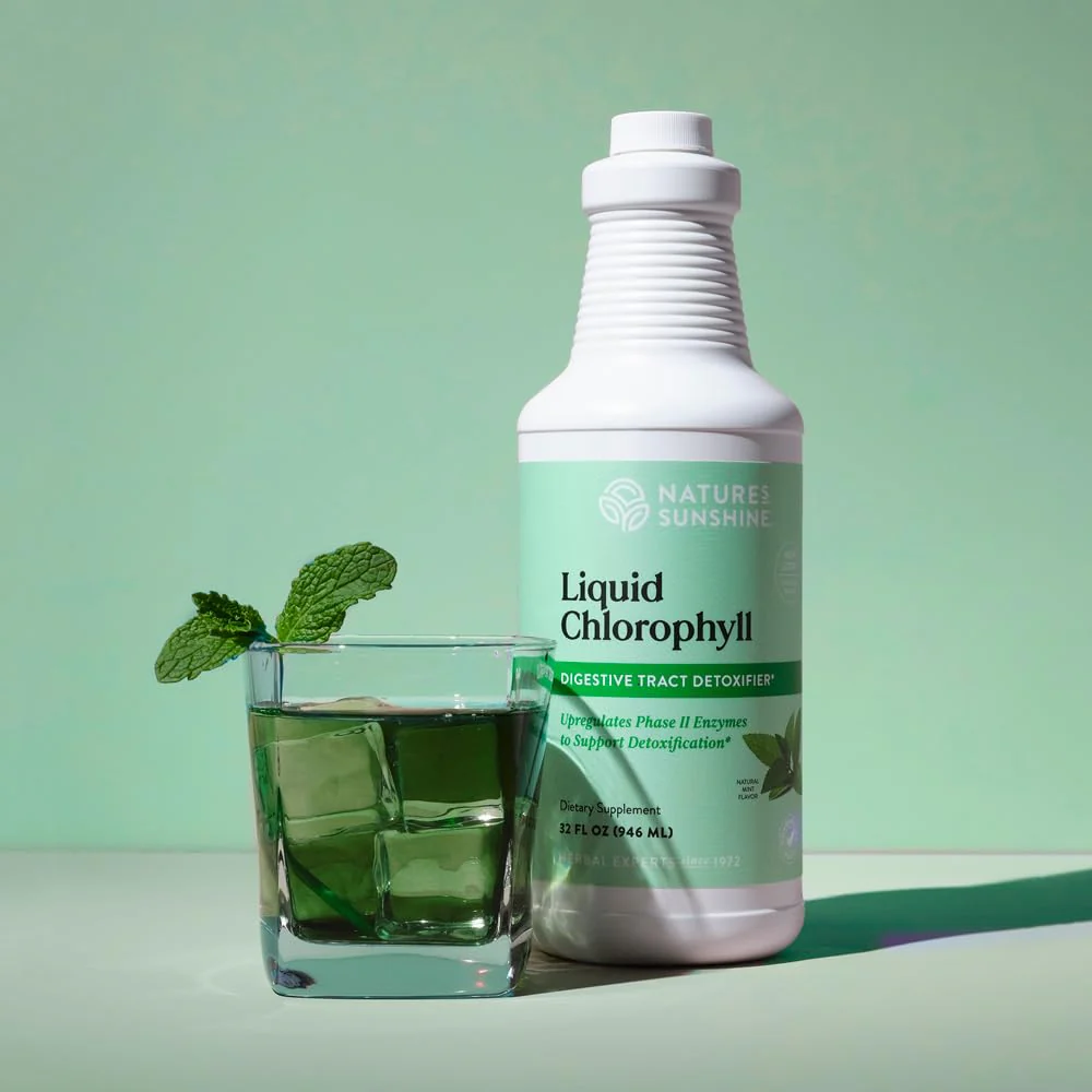 Nature's Sunshine Liquid Chlorophyll Extra Strength – Immunity & Detox (16 oz) - Image 2