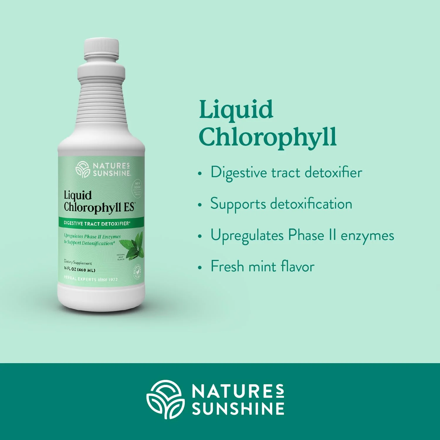 Nature's Sunshine Liquid Chlorophyll Extra Strength – Immunity & Detox (16 oz) - Image 3