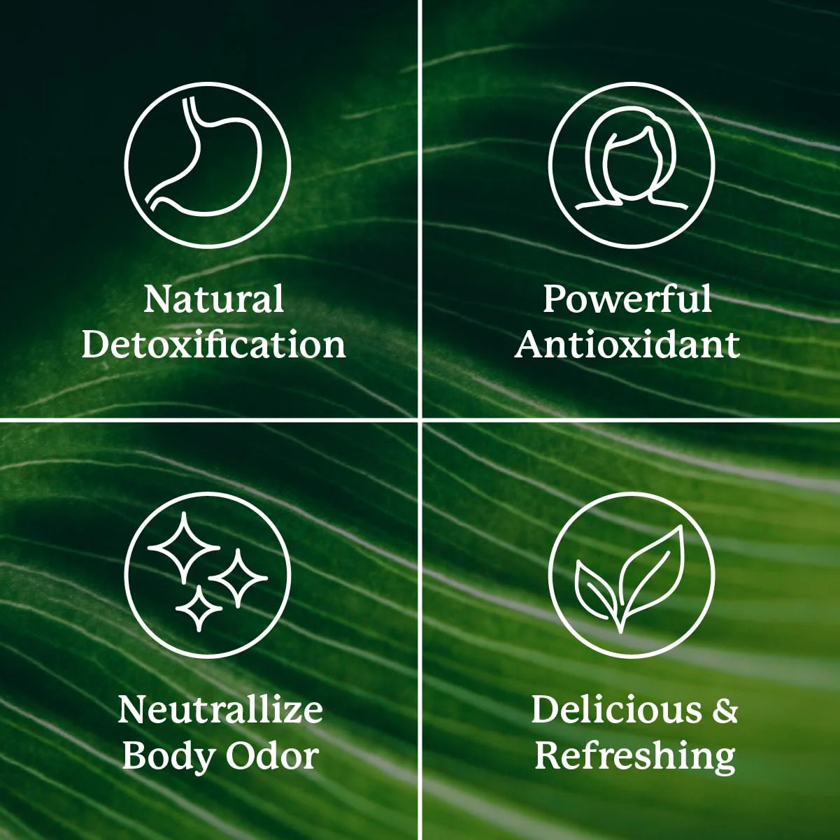 Nature's Sunshine Liquid Chlorophyll Extra Strength – Immunity & Detox (16 oz) - Image 5