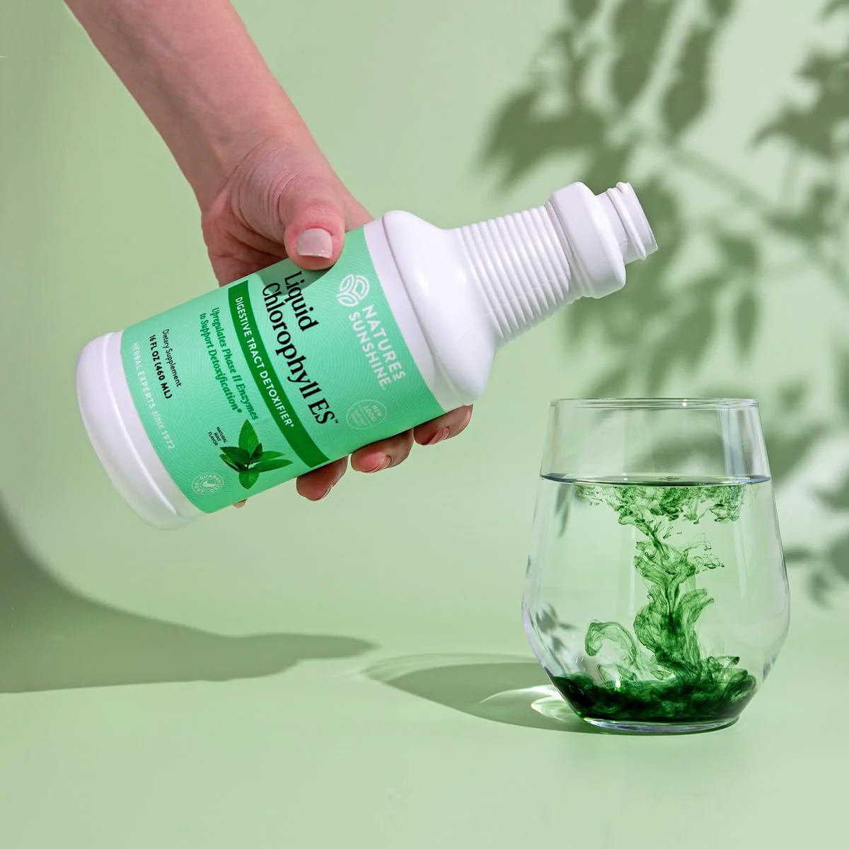 Nature's Sunshine Liquid Chlorophyll Extra Strength – Immunity & Detox (16 oz) - Image 6