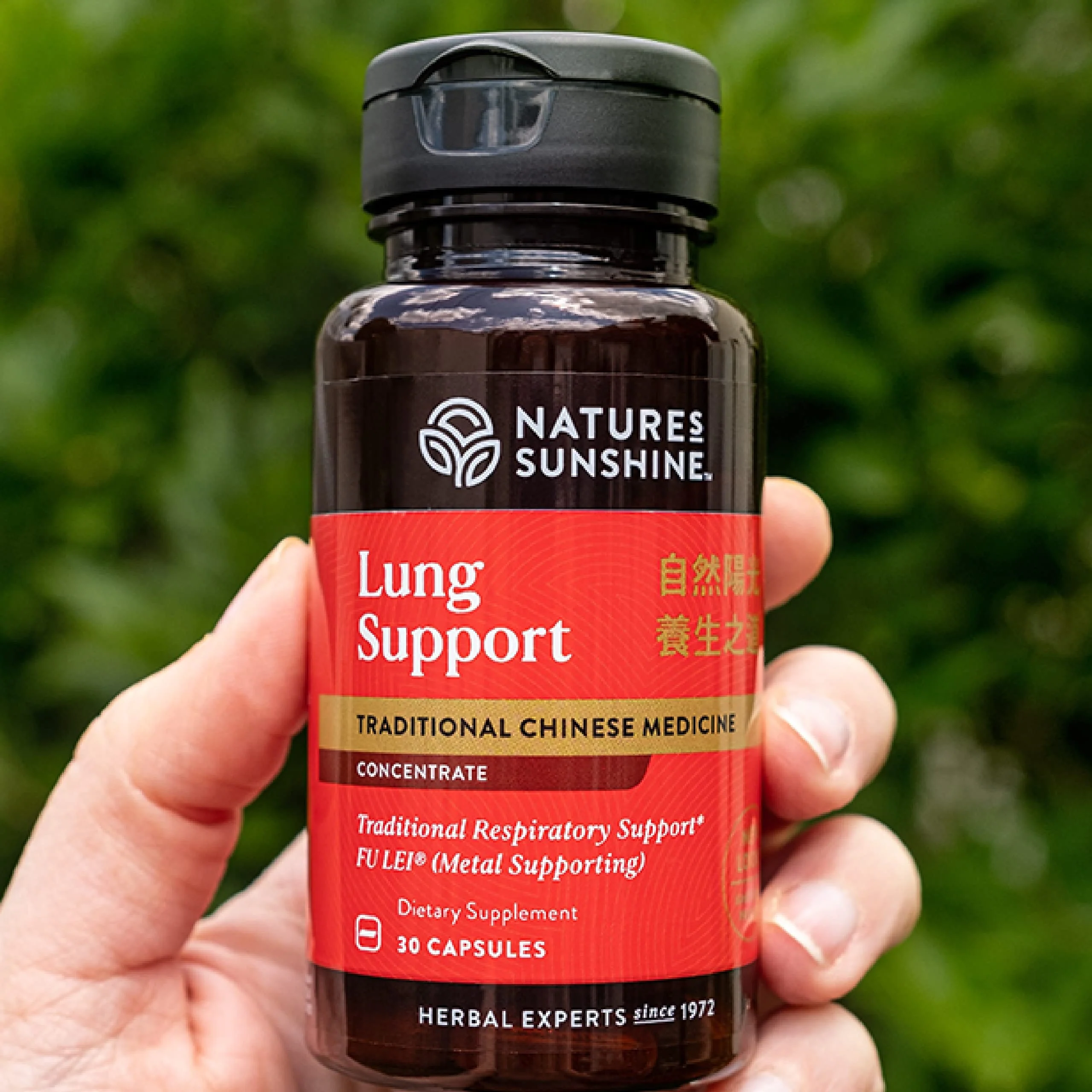 Nature's Sunshine Lung Support Chinese TCM Concentrate - 30 Capsules - Image 2