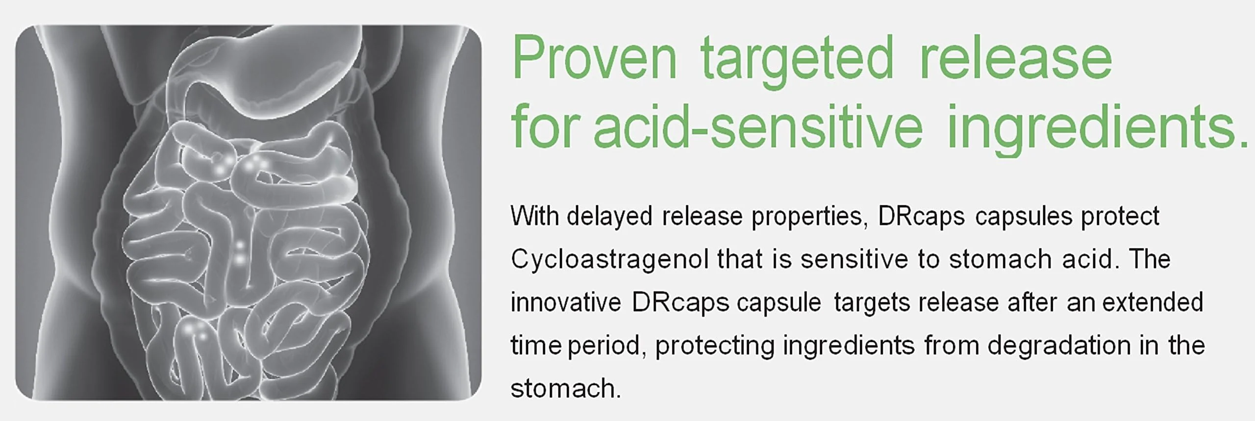 Nature'sbliss Cycloastragenol 99% - Stomach Acid Protected, Made in USA, 5mg, 180 Caps - Image 6