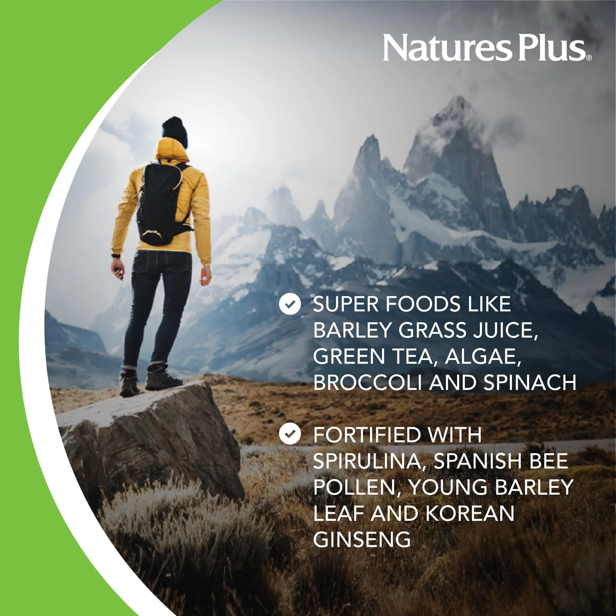 NaturesPlus FRUITEIN Revitalizing Green Foods Shake – Plant-Based Protein, 16 Servings - Image 5