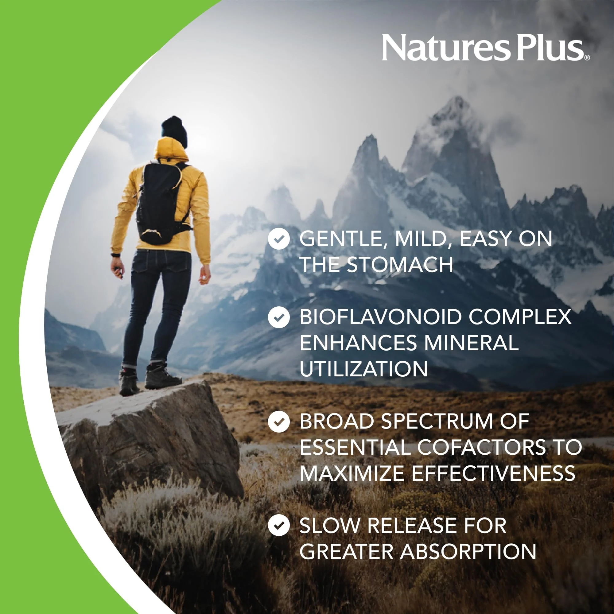 NaturesPlus Hema-Plex Iron - 60 Total Servings, 85 mg Chelated Iron, Slow-Release | Vitamin C & Bioflavonoids | Gluten Free & Vegetarian - Image 3