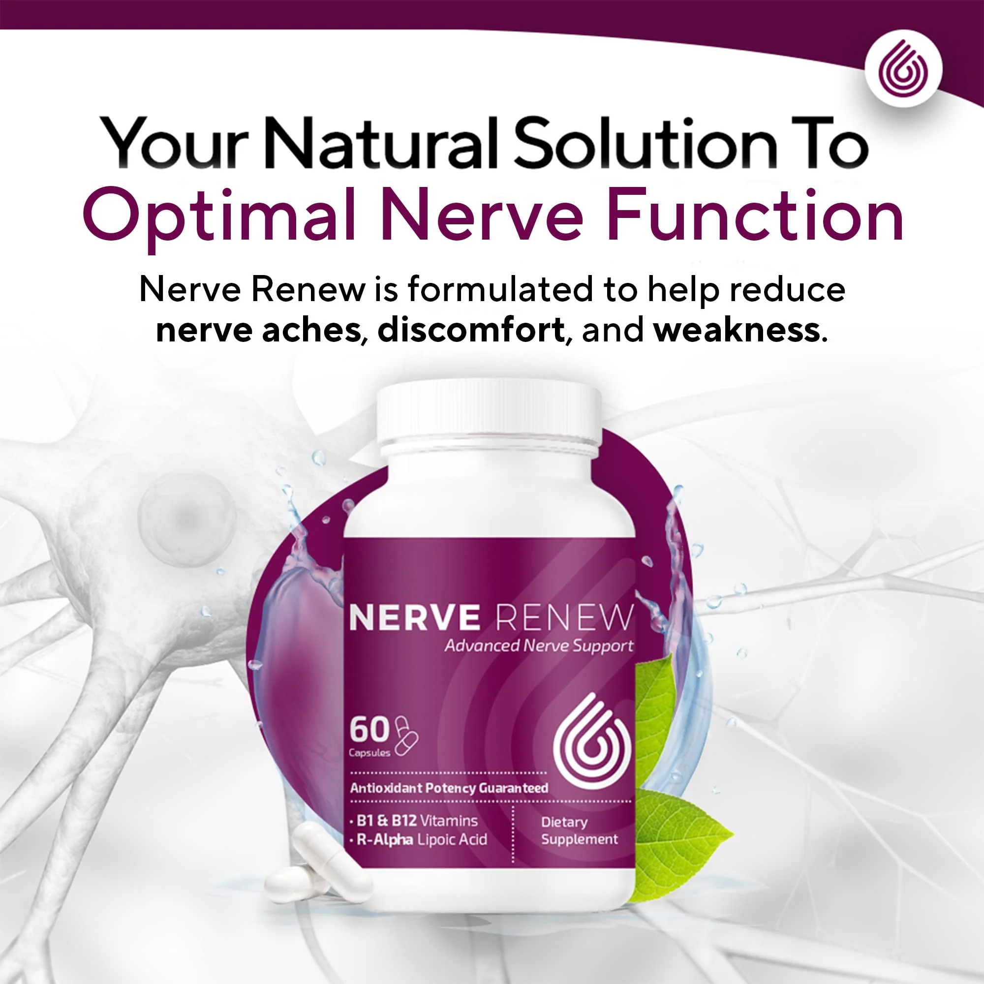 NERVE RENEW Advanced Nerve Support – 300mg Stabilized R-Alpha Lipoic Acid, B Complex & Benfotiamine - Image 4