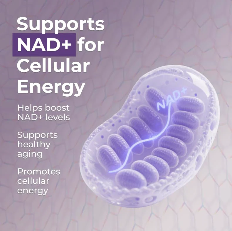 Neurogan NMN Supplement Capsules – 500 mg NMN, 120 Ct | Brain Focus & Cellular Energy - Image 6