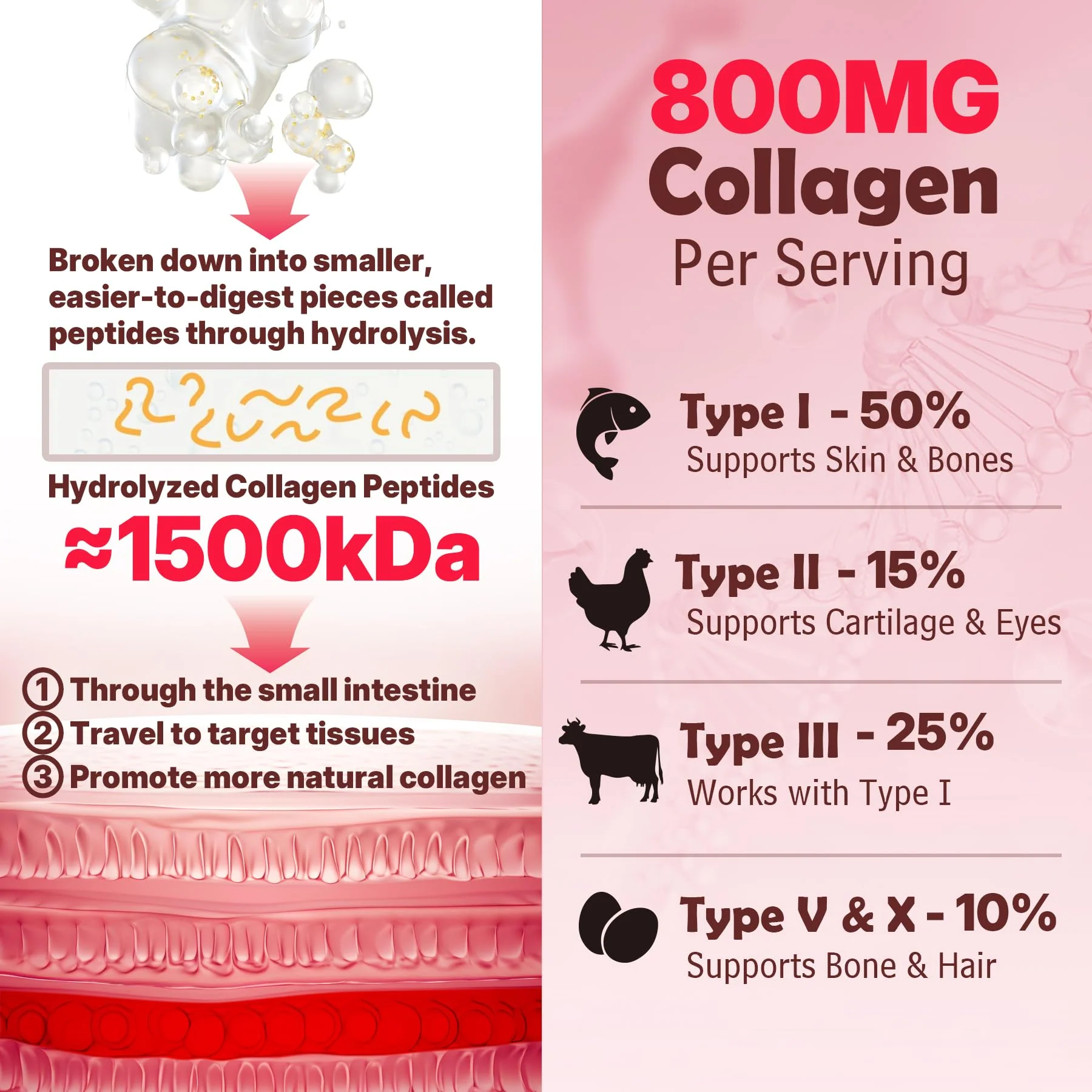 NEVISS Hydrolyzed Collagen Gummies – Multi-Type Collagen I–V & X with Vitamin D3 (120 ct) - Image 4