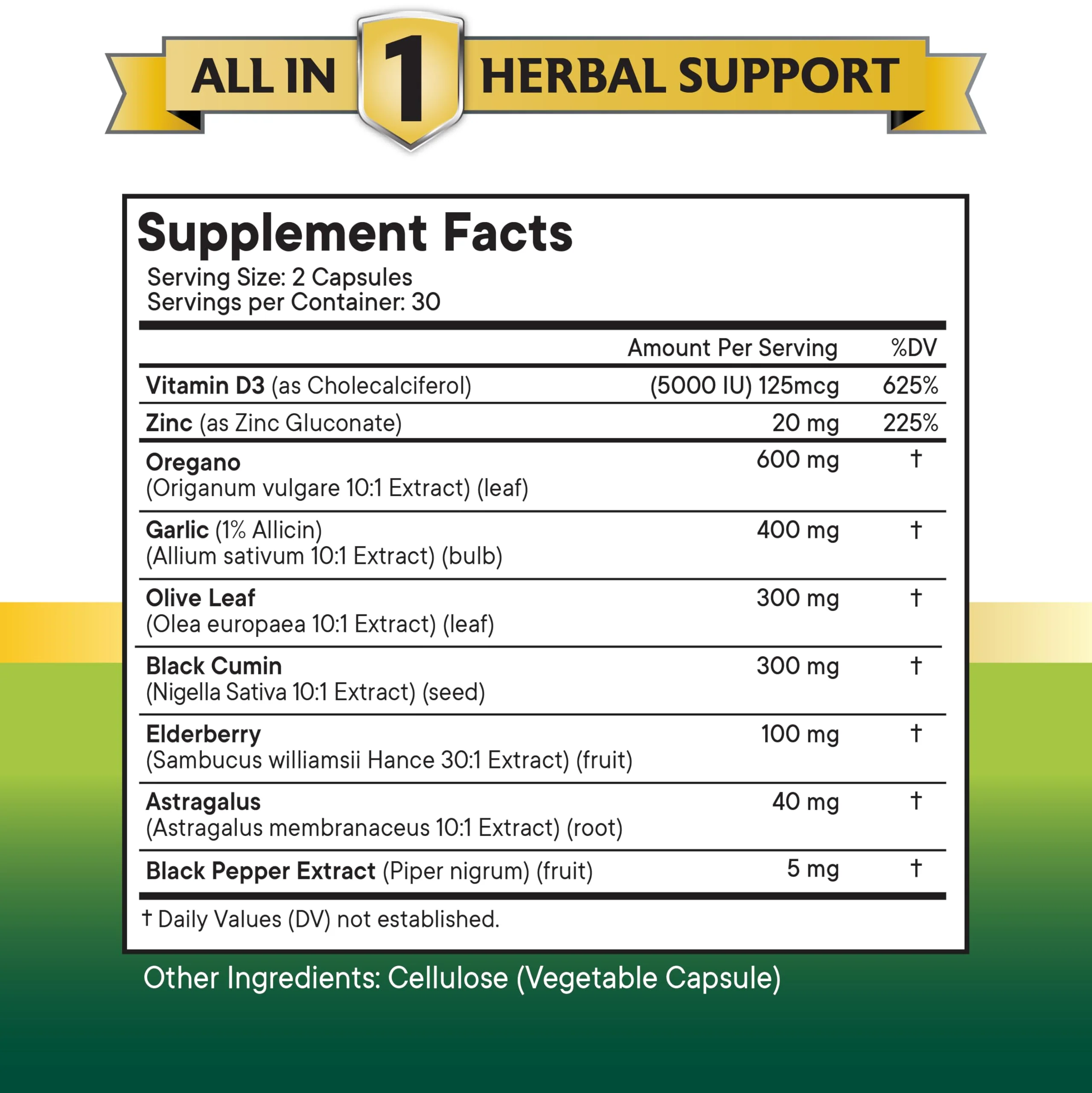 NEW AGE Oregano Oil Garlic Extract Olive Leaf with Astragalus – 180 Count for Men & Women - Image 3