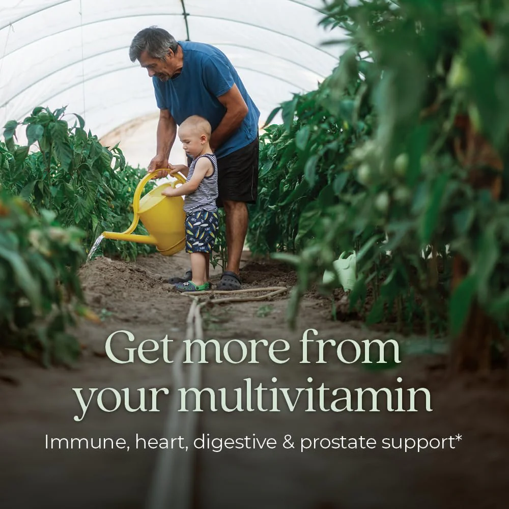 New Chapter Men's Multivitamin 55+ — One Daily, Fermented, Non-GMO, Immune & Brain Health, 96 Tablets - Image 10