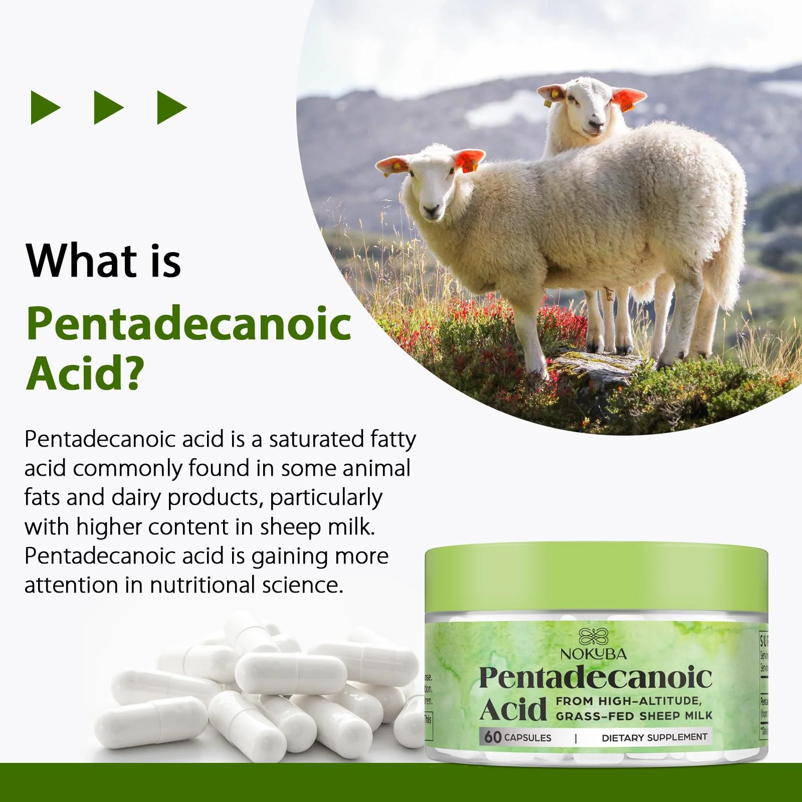 Nokuba Pentadecanoic Acid C15:0 300mg – High-Altitude Sheep Milk Sourced, 120 Capsules | USA Made - Image 12