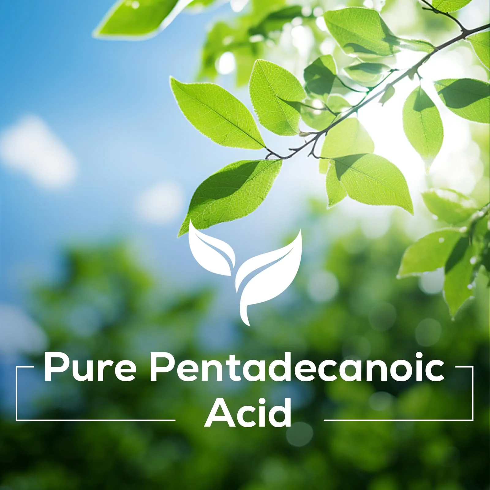 Nokuba Pentadecanoic Acid C15:0 300mg – High-Altitude Sheep Milk Sourced, 120 Capsules | USA Made - Image 17