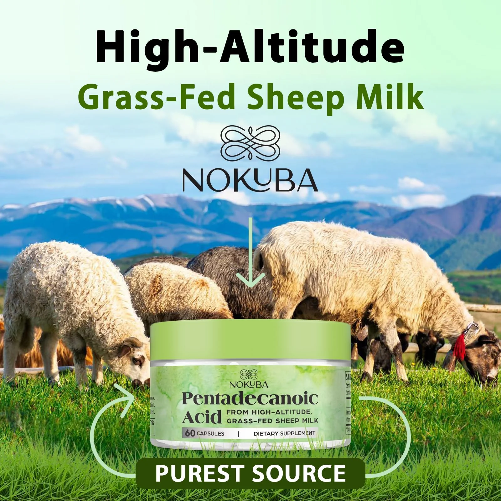 Nokuba Pentadecanoic Acid C15:0 300mg – High-Altitude Sheep Milk Sourced, 120 Capsules | USA Made - Image 8