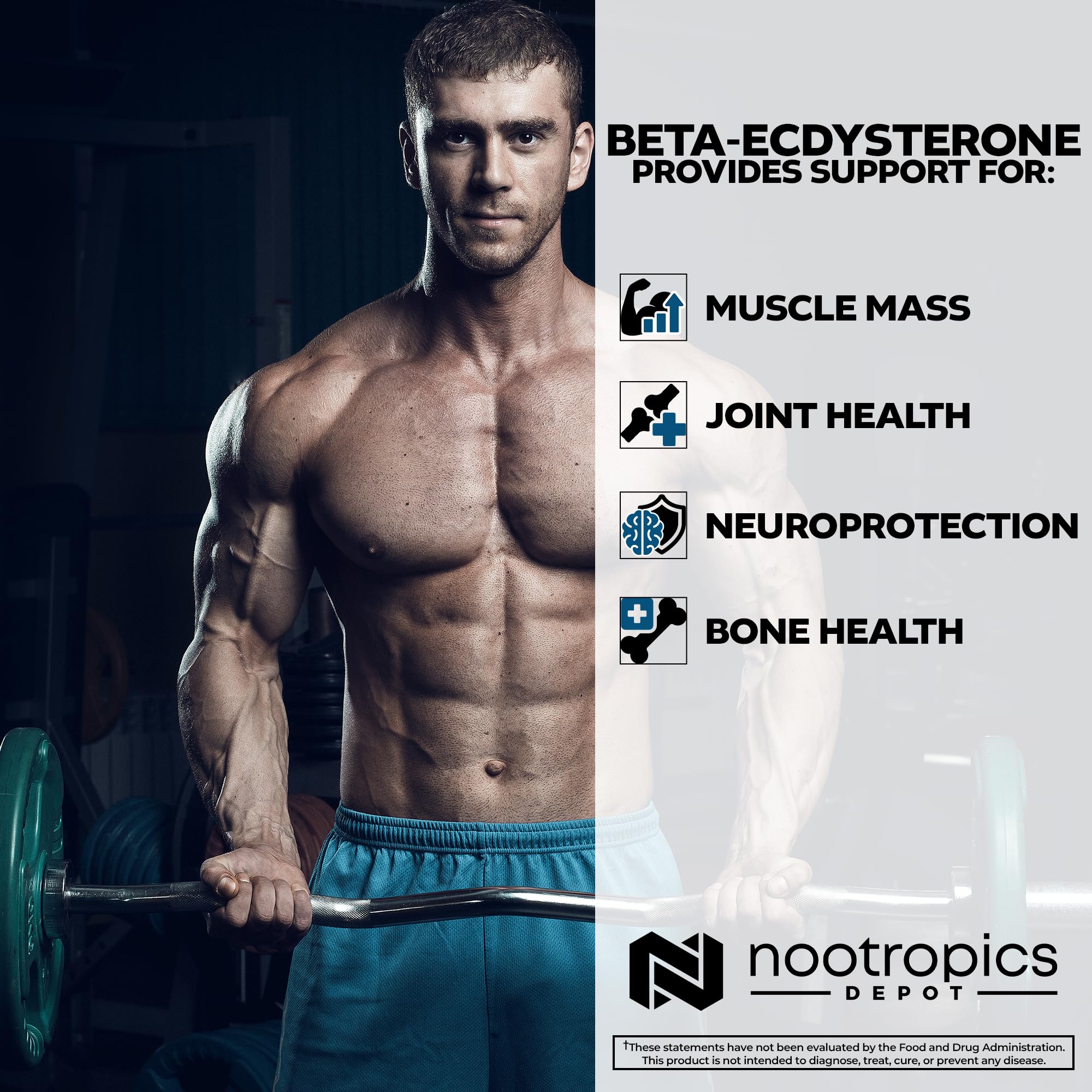 Nootropics Depot Beta Ecdysterone 50% Tablets (500mg) – Cyanotis Arachnoidea Extract, 30 Count - Image 4