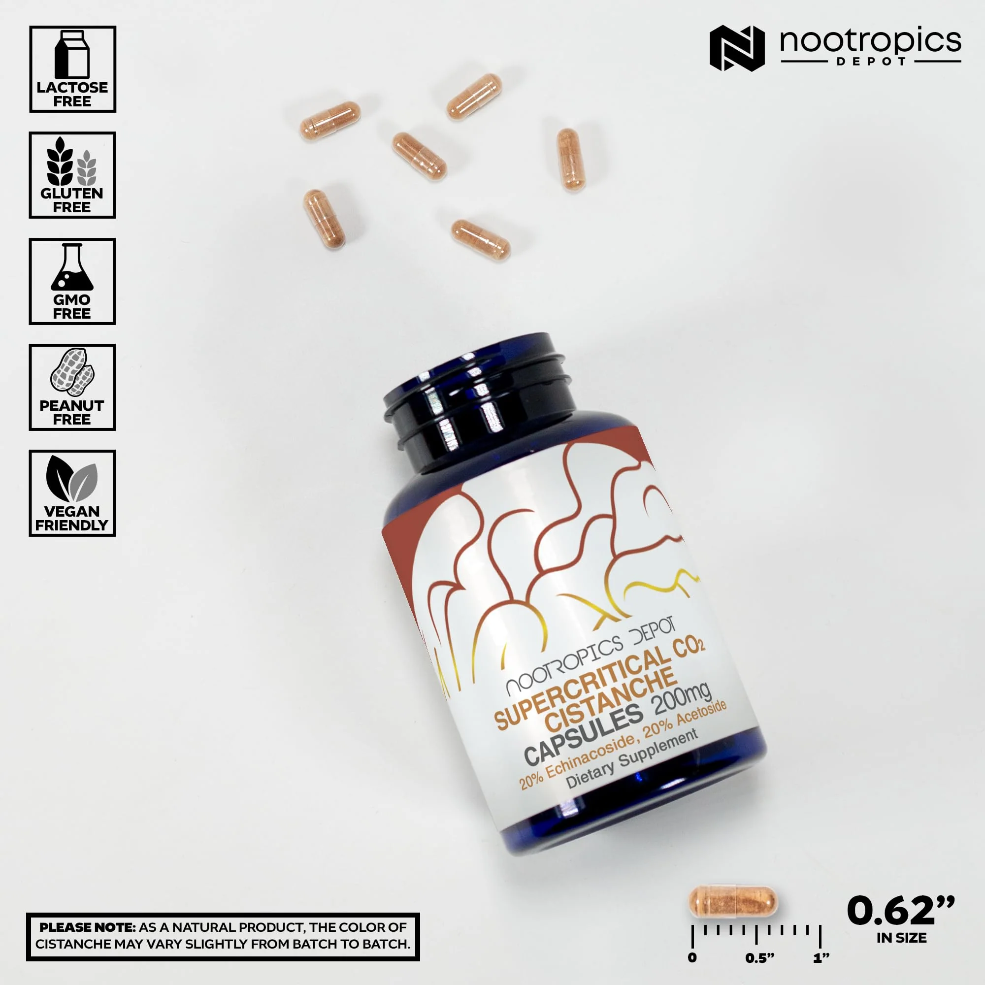 Nootropics Depot Cistanche Supercritical CO2 Extract Capsules – 60 Count | 20% Echinacoside + 20% Verbascoside - Image 3