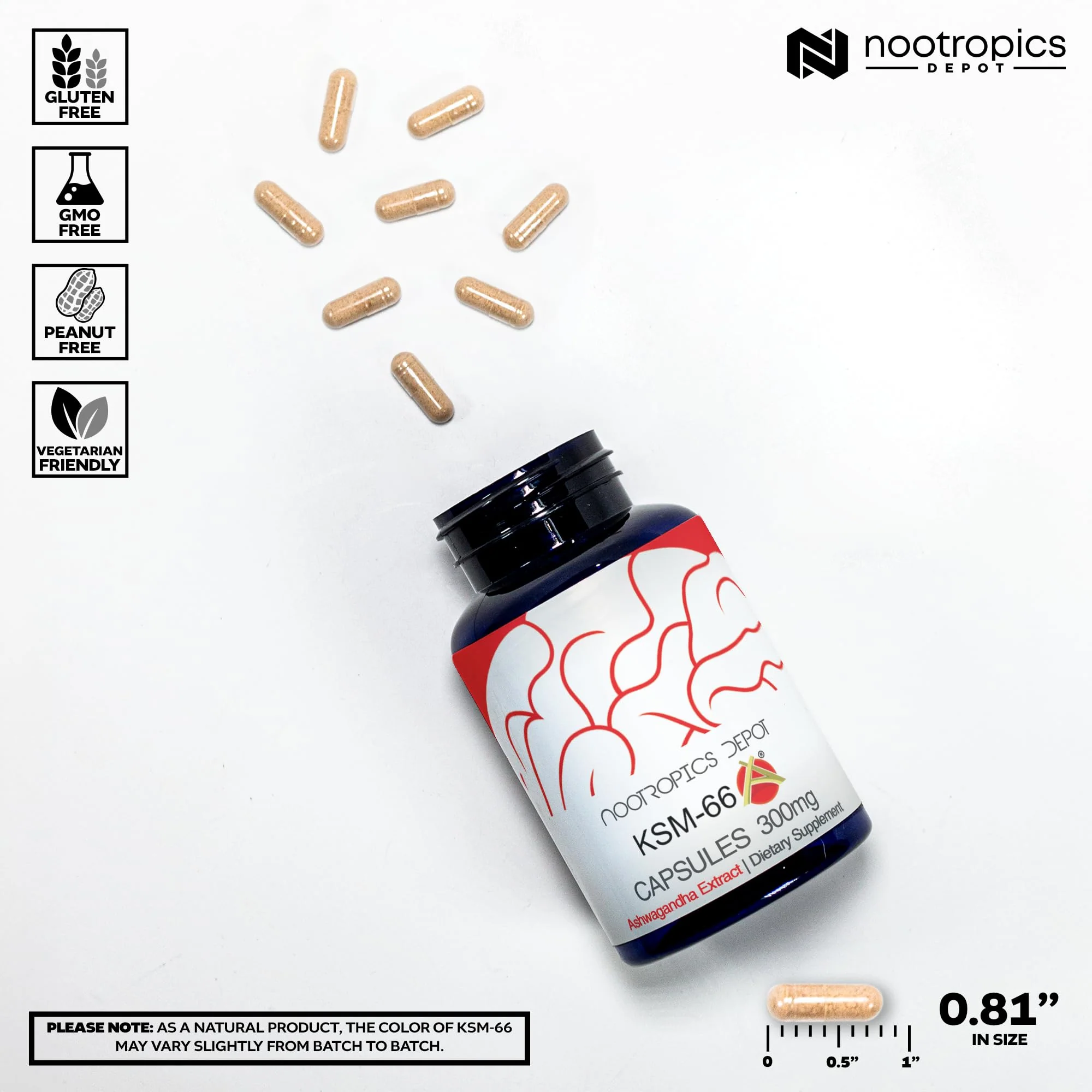 Nootropics Depot KSM-66 Ashwagandha Capsules 300mg – 180 Count | Adaptogen for Stress, Relaxation, Energy - Image 3
