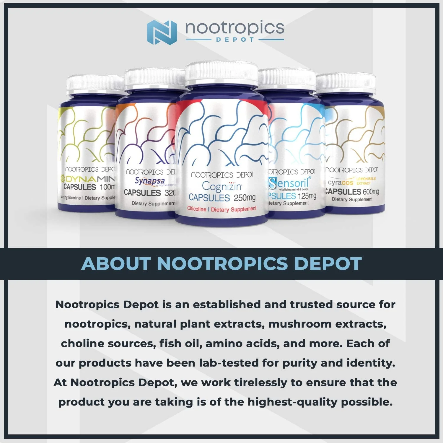 Nootropics Depot Sabroxy® Oroxylin-A Powder | 30 Grams | Minimum 10% Oroxylin-A | Oroxylum indicum | May Help Promote Focus & Motivation | May Help Promote Cognitive Function - Image 9