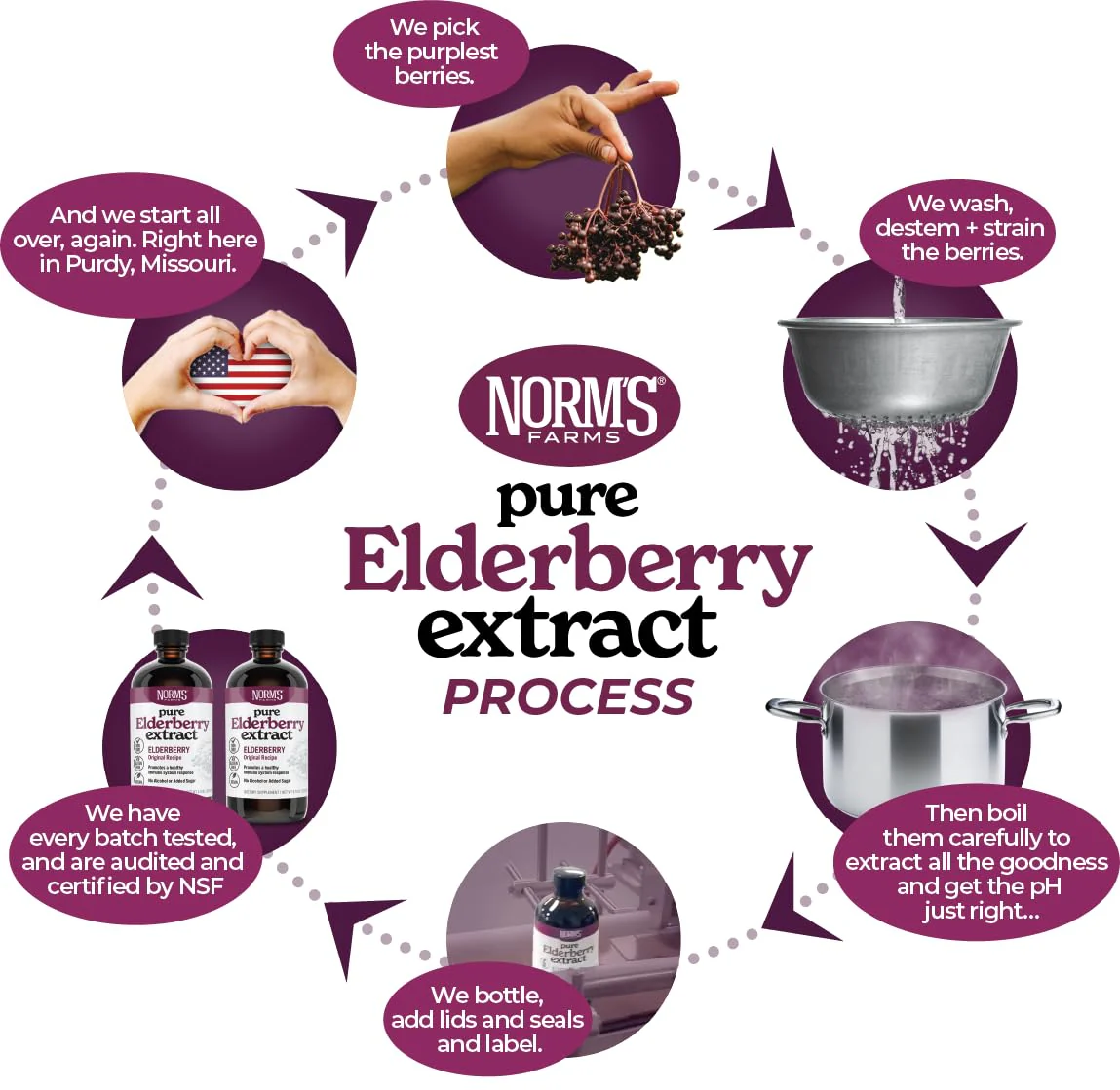 Norm's Farms Elderberry Extract & BeeWellness Syrup 2PK – Immune Support for Kids & Adults, Made in USA - Image 13