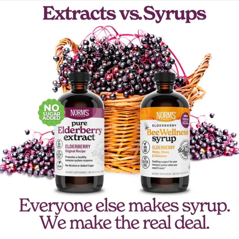 Norm's Farms Elderberry Extract & BeeWellness Syrup 2PK – Immune Support for Kids & Adults, Made in USA - Image 15
