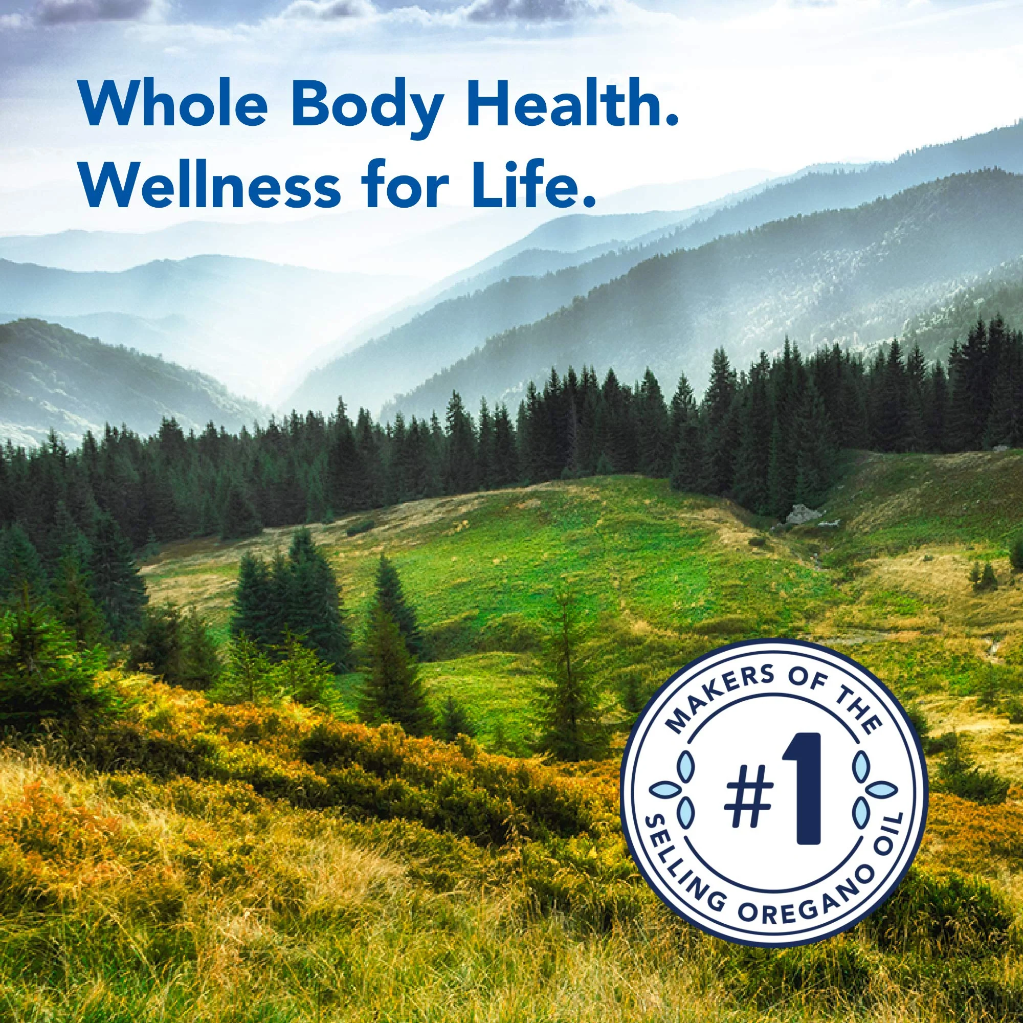 North American Herb & Spice Black Seed Oil 32 fl. oz. – Cardiovascular, Digestive & Immune Support – Non-GMO - Image 12