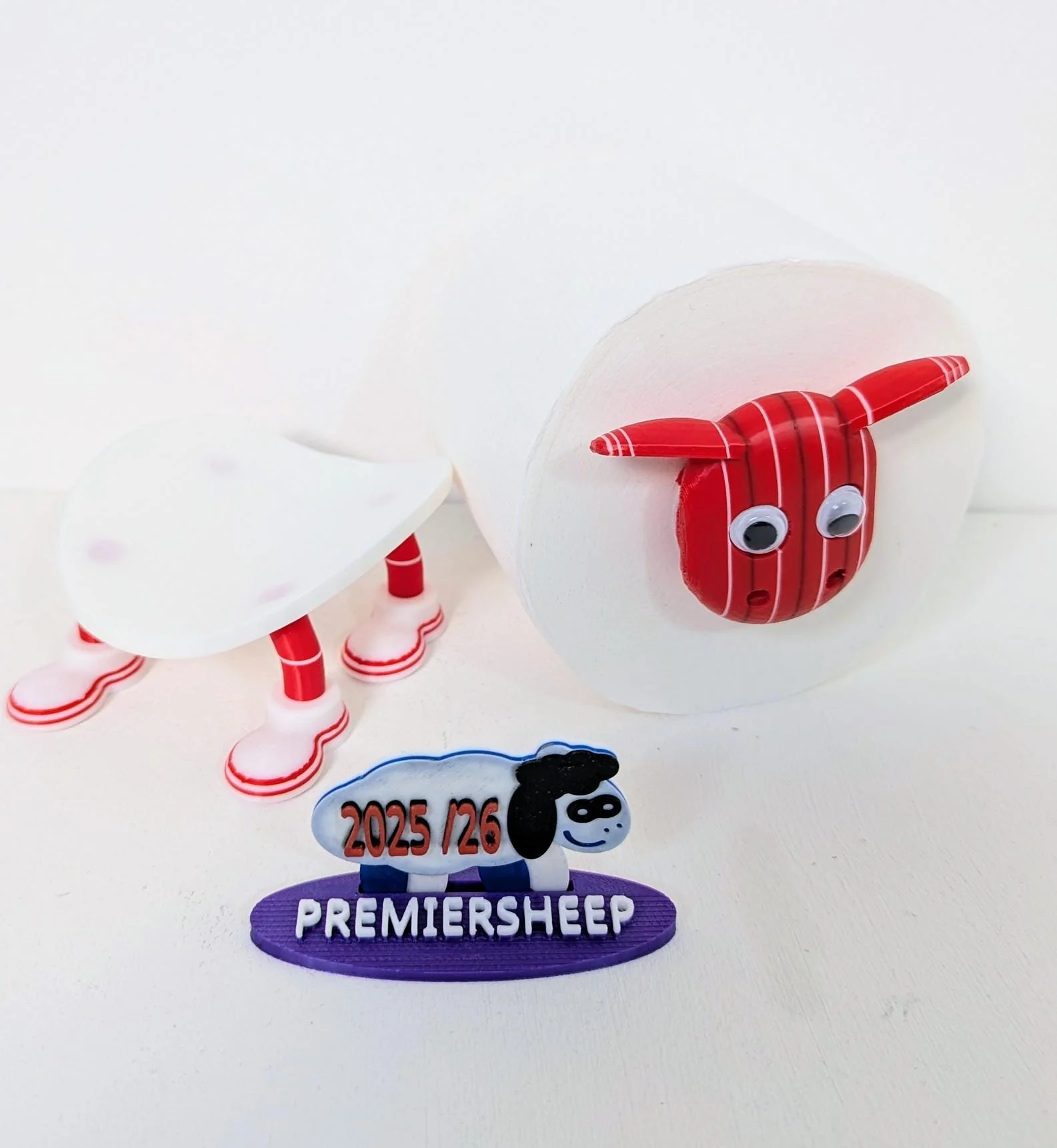 Nottingham Forest Toilet Roll Holder – New 2025/26 Premiersheep Series - Image 8
