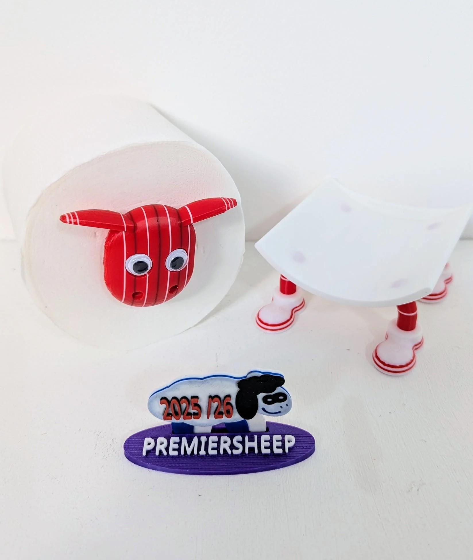 Nottingham Forest Toilet Roll Holder – New 2025/26 Premiersheep Series - Image 9