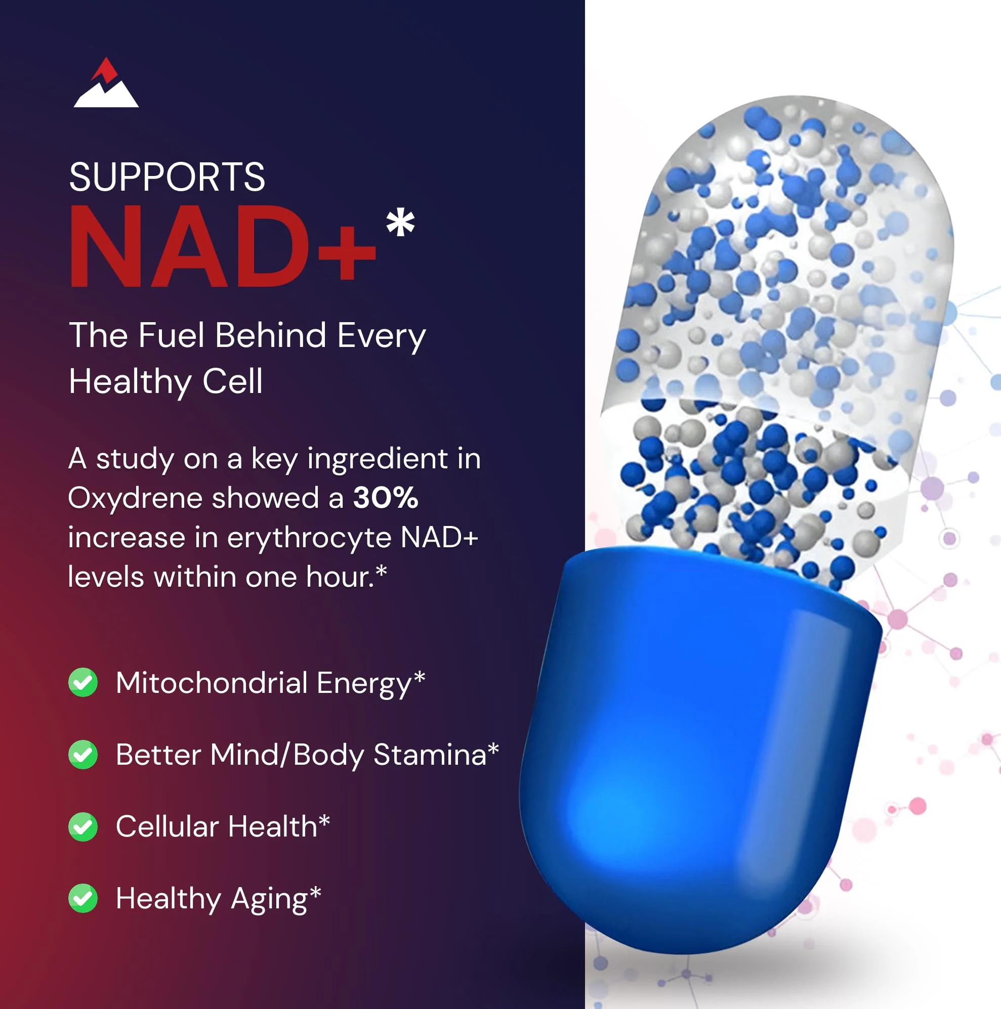 Novex Biotech Oxydrene NAD+ Enhancer – Metabolism & Cardiovascular Support (60 Capsules) - Image 4