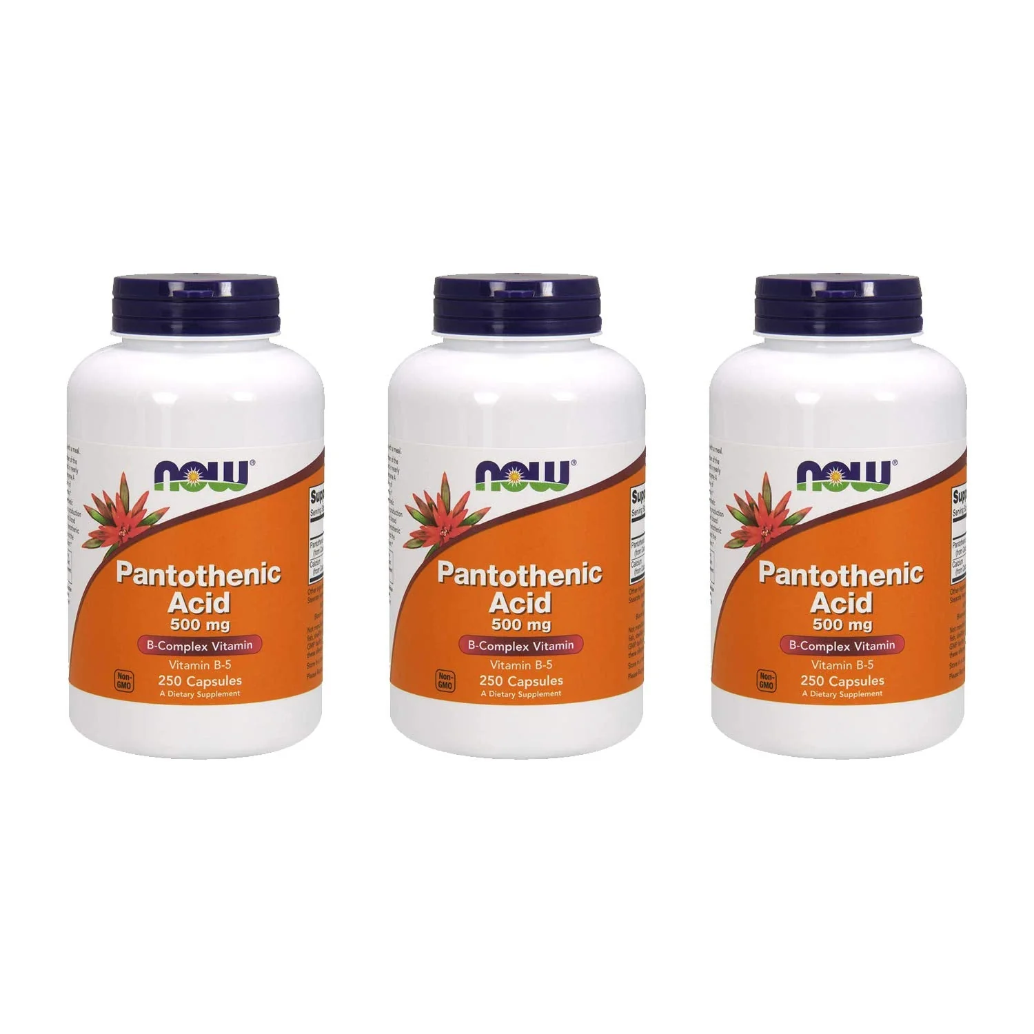 NOW Foods Pantothenic Acid 500 mg – 250 Capsules (3 Pack) - Image 3