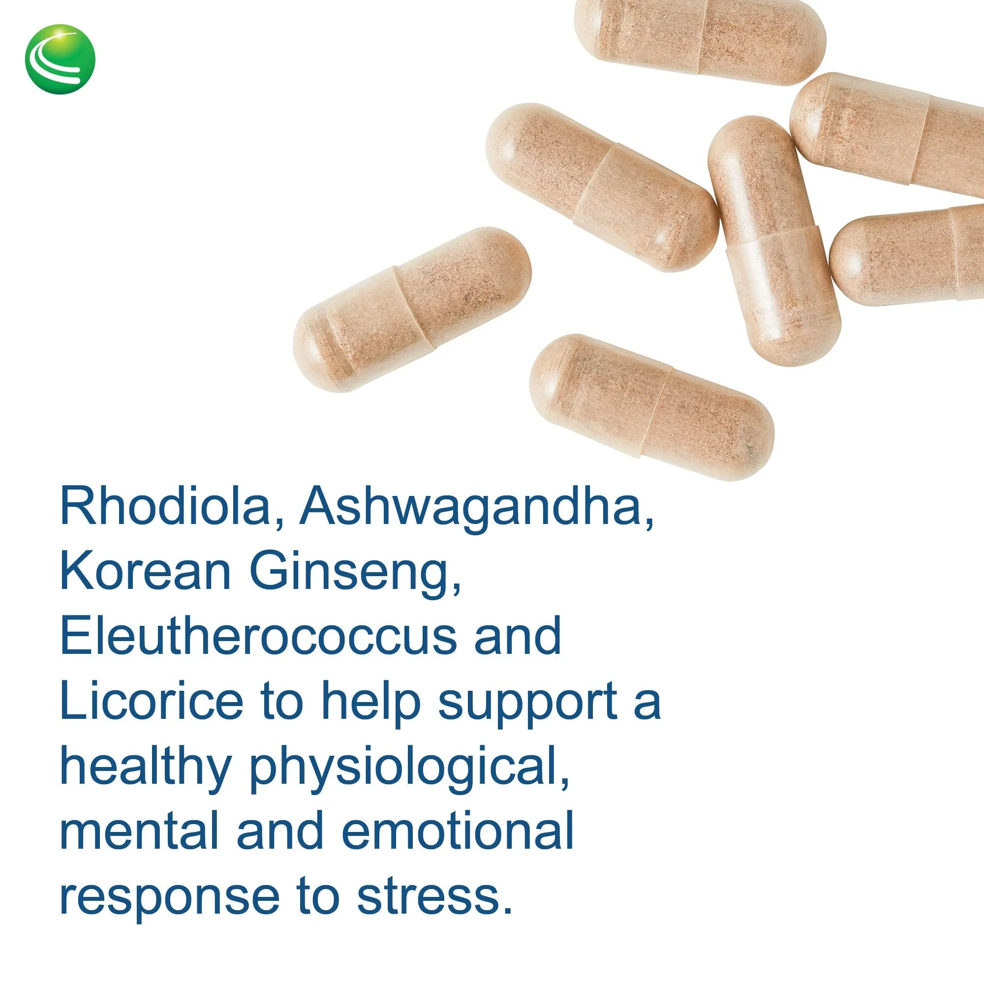 Nutra BioGenesis Bioadaptogen Ultra - Adaptogens for Stress Support (60 Caps) - Image 6