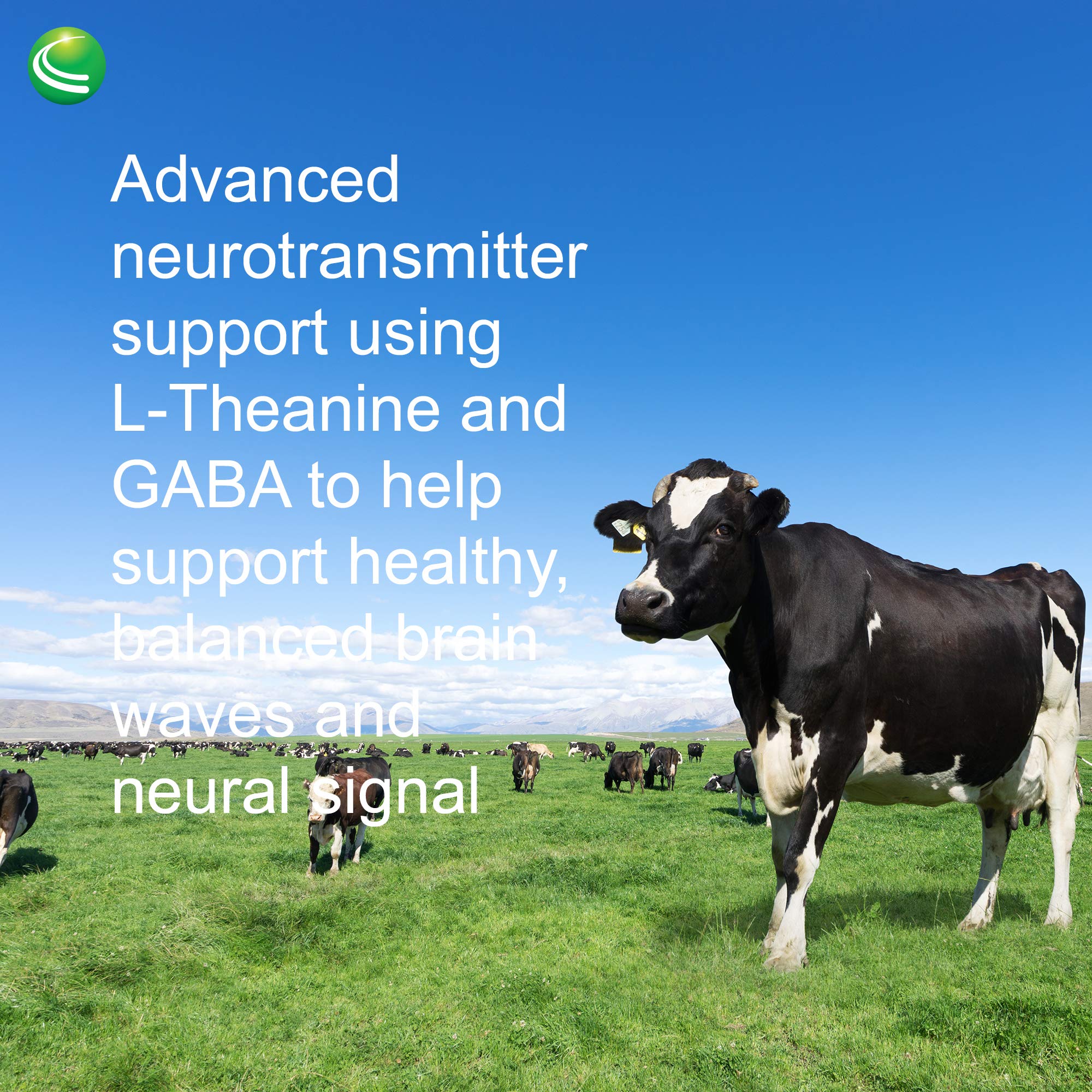 Nutra Biogenesis Focus Fizz – GABA L-Theanine Powder for Calm Focus - Image 6