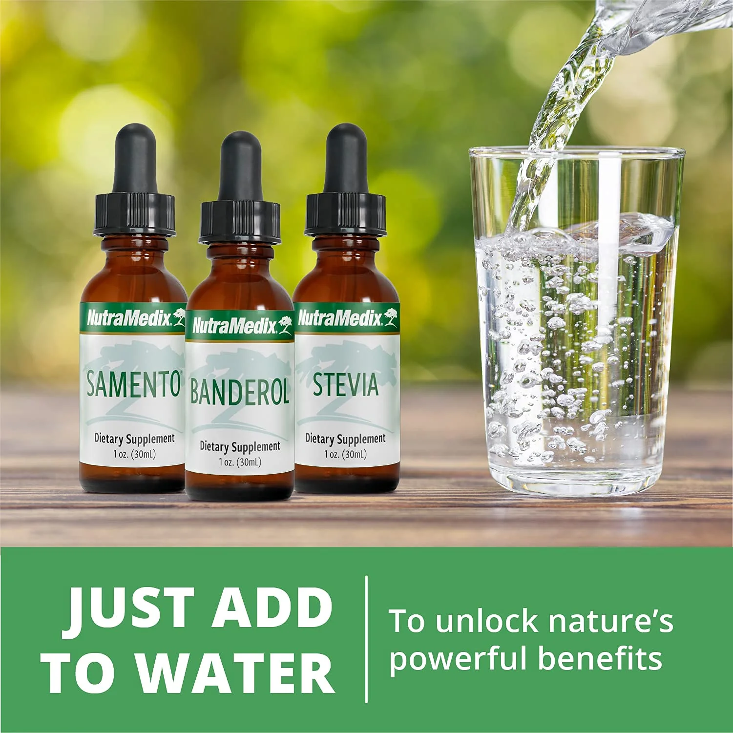 NutraMedix Banderol Daily Immune Support Tincture — Vegan Otoba Bark Drops (1 oz) - Image 15