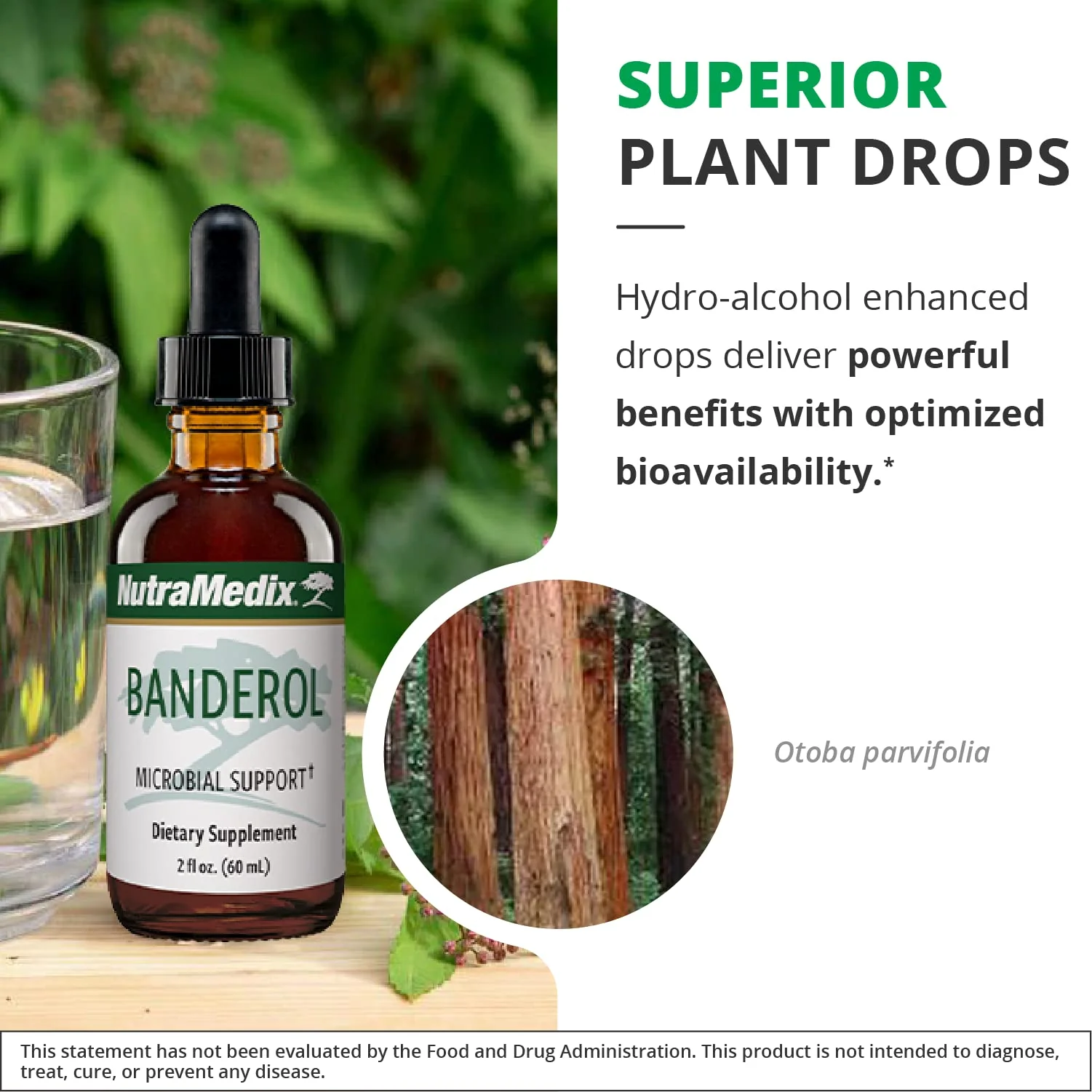 NutraMedix Banderol Daily Immune Support Tincture — Vegan Otoba Bark Drops (1 oz) - Image 5