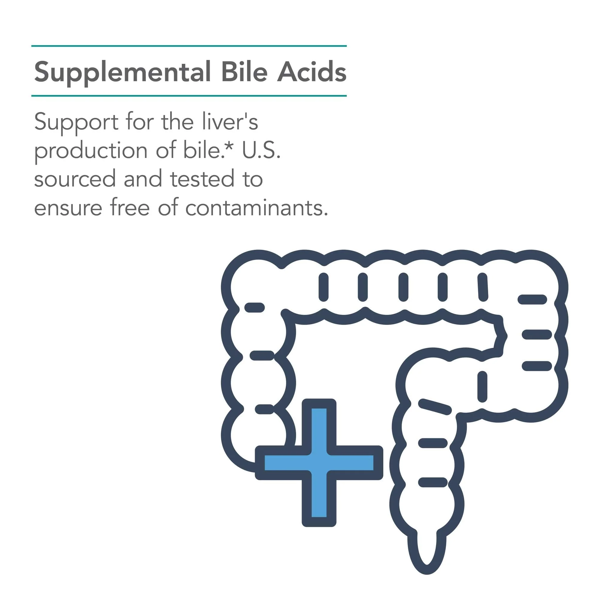 Nutricology Ox Bile 125 mg - Digestive Enzymes for Fat Digestion & Liver Support | 180 Count - Image 4