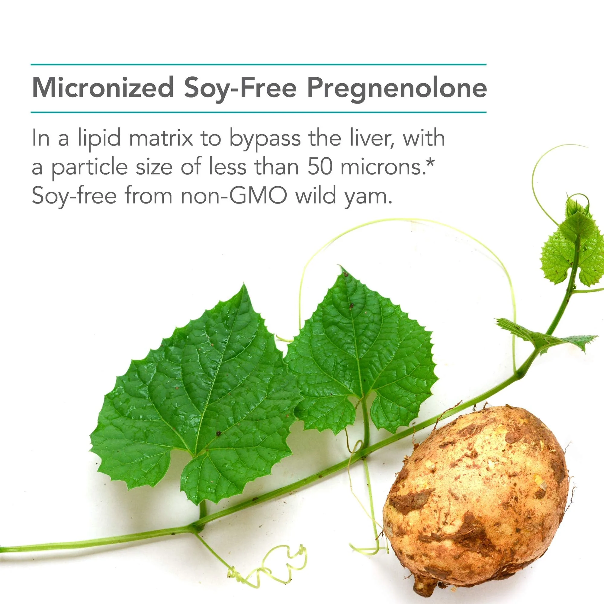 Nutricology Pregnenolone 50mg - 60 Count | Plant-Sourced, Non-GMO Wild Yam - Image 5