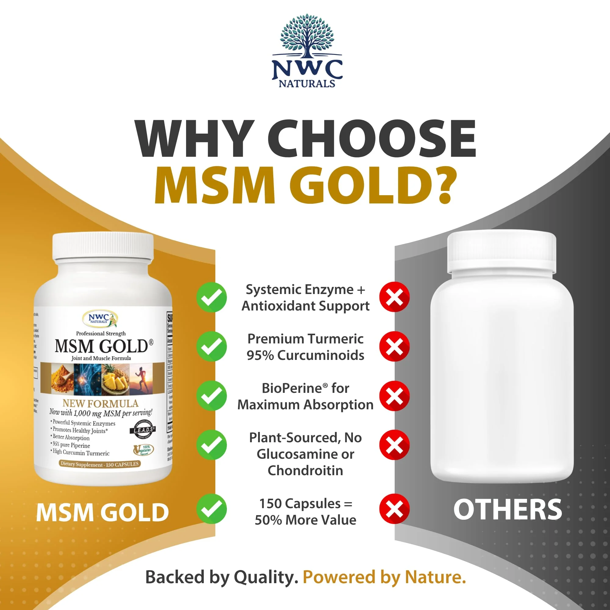 NWC Naturals MSM Gold – Systemic Enzyme + Turmeric, Lycopene & BioPerine for Joint & Muscle Support - Image 18