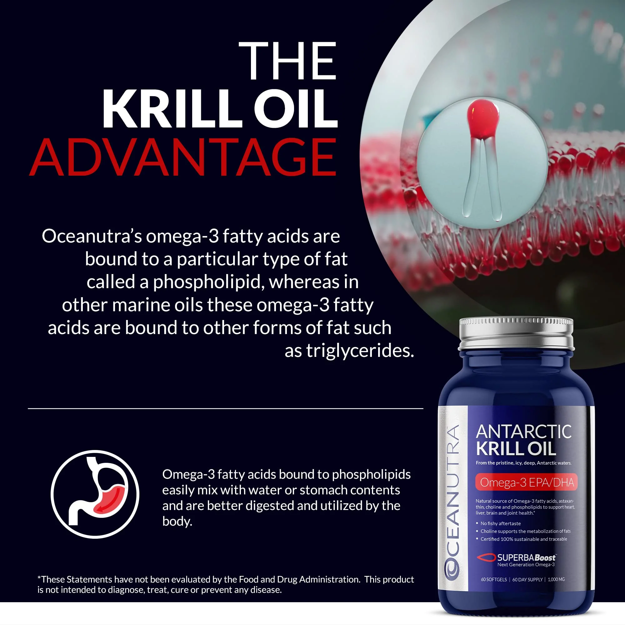 Oceanutra 100% Pure Krill Oil 1000mg – 56% Phospholipids, 60-Day Supply - Image 4