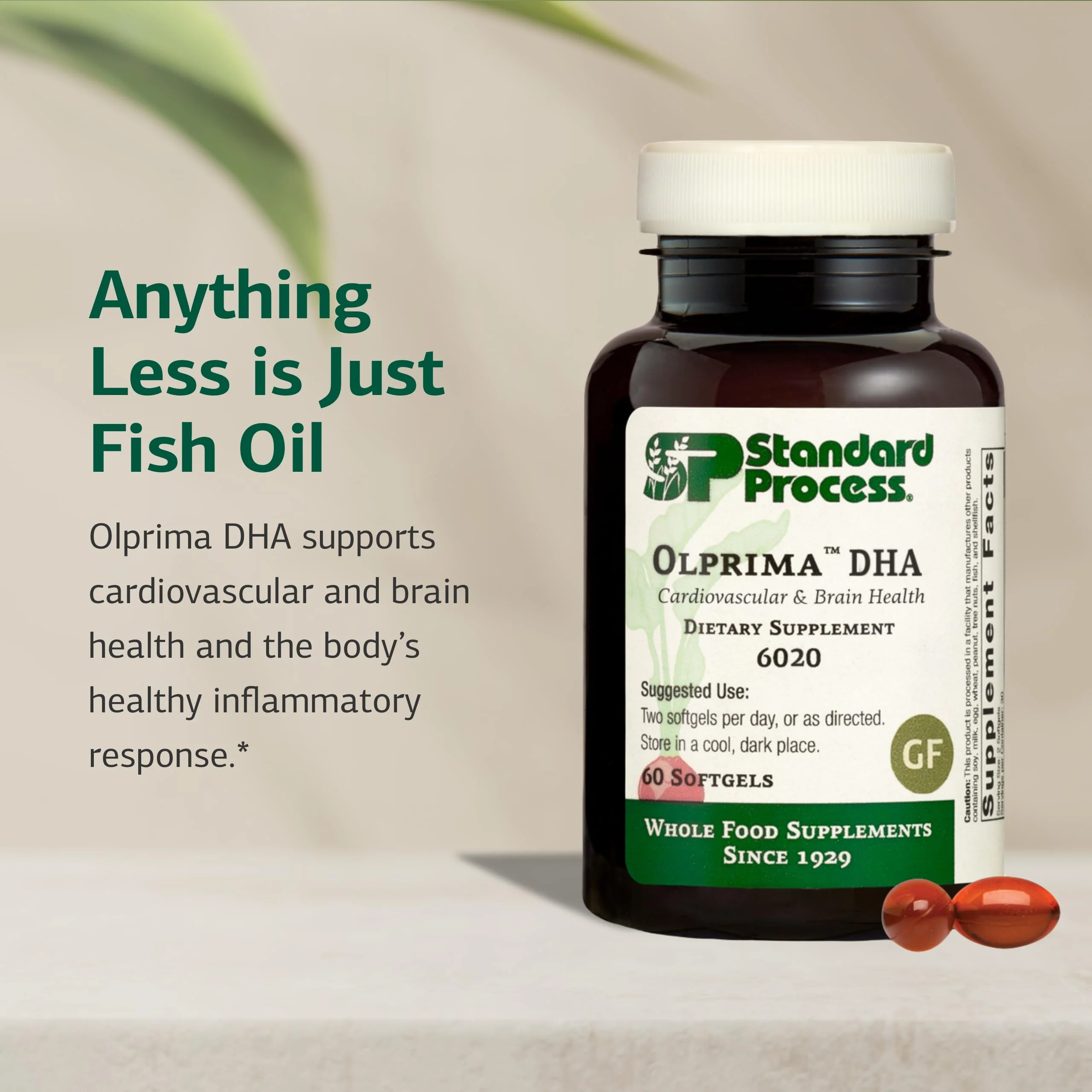 Olprima DHA Omega-3 by Standard Process – Heart & Brain Health, 60 Softgels (30 Servings) – Gluten-Free, Non-Dairy & Non-Soy - Image 4