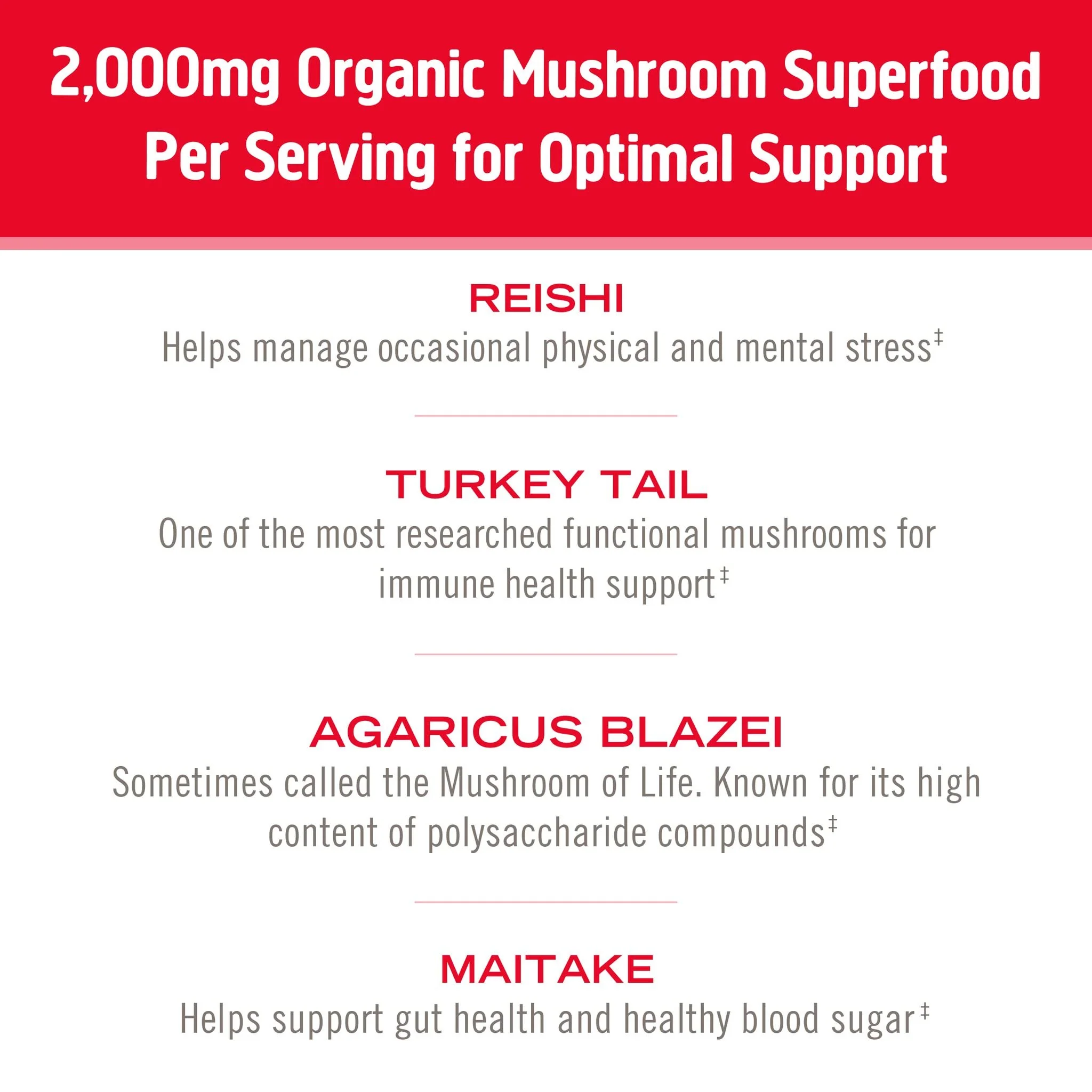 OM Mushroom Superfood Immune Blend Powder – 7.05 oz (100 Servings) Reishi & Turkey Tail - Image 4