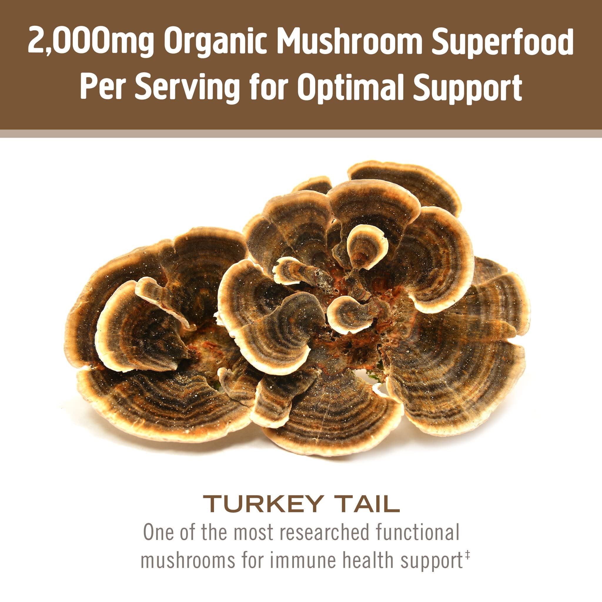 Om Mushroom Superfood Turkey Tail Organic Mushroom Powder – 7.05 oz, 100 Servings - Image 4
