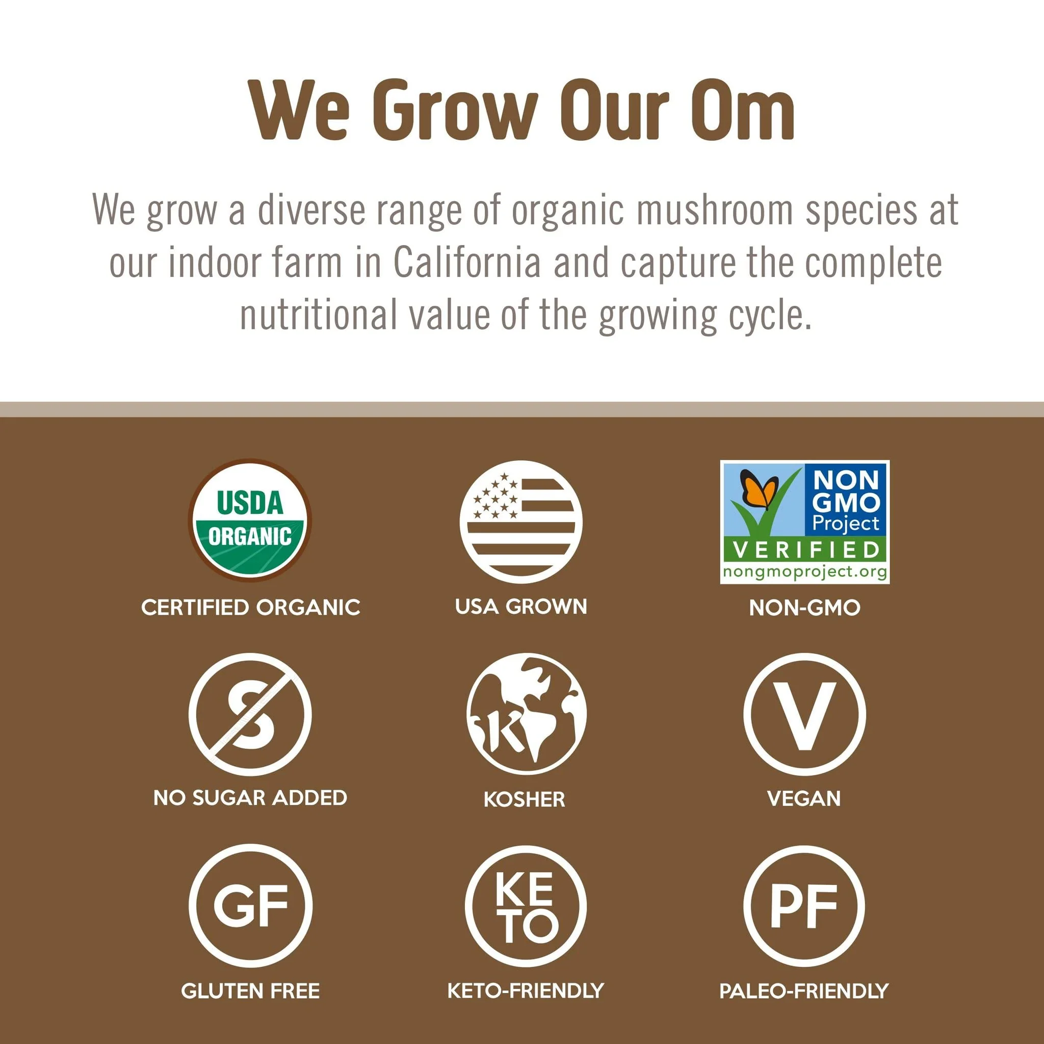 Om Mushroom Superfood Turkey Tail Organic Mushroom Powder – 7.05 oz, 100 Servings - Image 5
