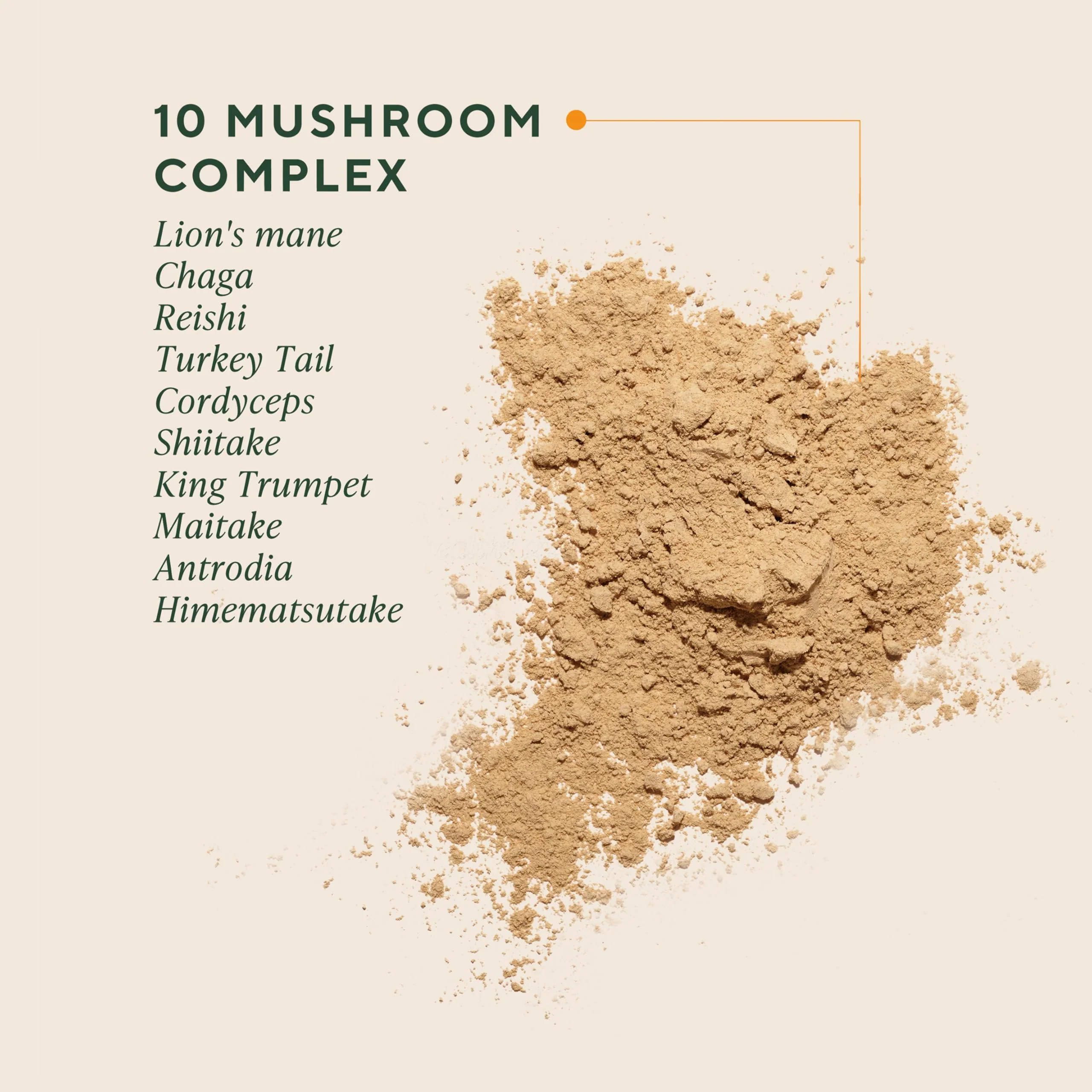 OM Mushrooms Master Blend Mushroom Powder – Organic 10 Mushrooms + Ashwagandha (6.34 oz, 80 Servings) - Image 2