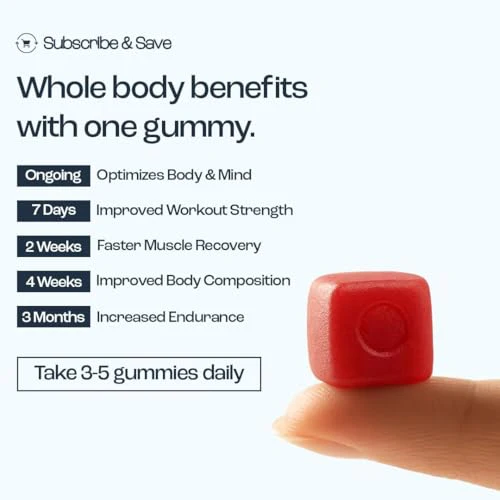 OMNI Creatine Monohydrate Gummies – 1g per Gummy | Watermelon & Peach Flavor | 90 Count - Image 5