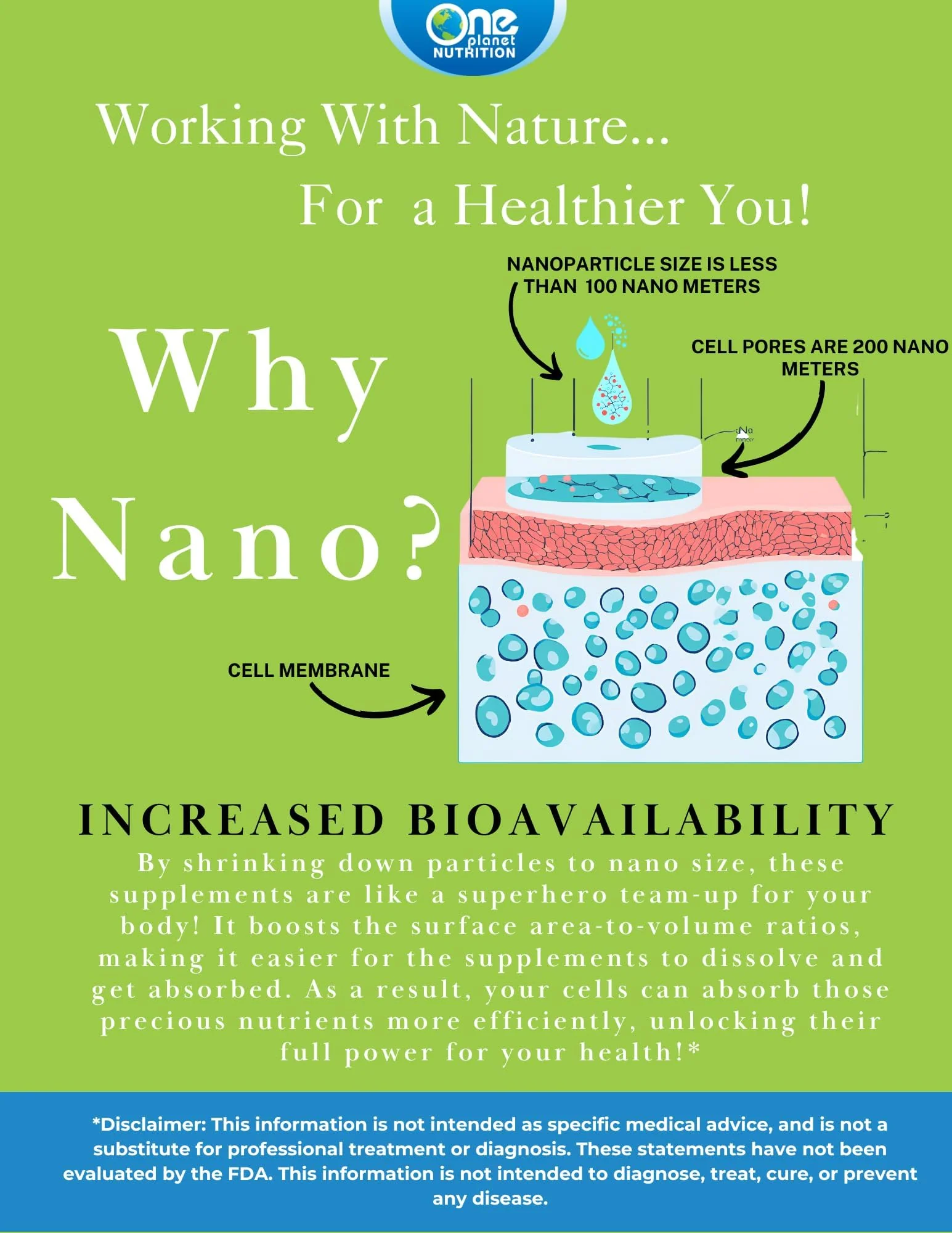 One Planet Nutrition Nano Curcumin 500 mg Veggie Capsules – High Absorption, 120 Servings - Image 4