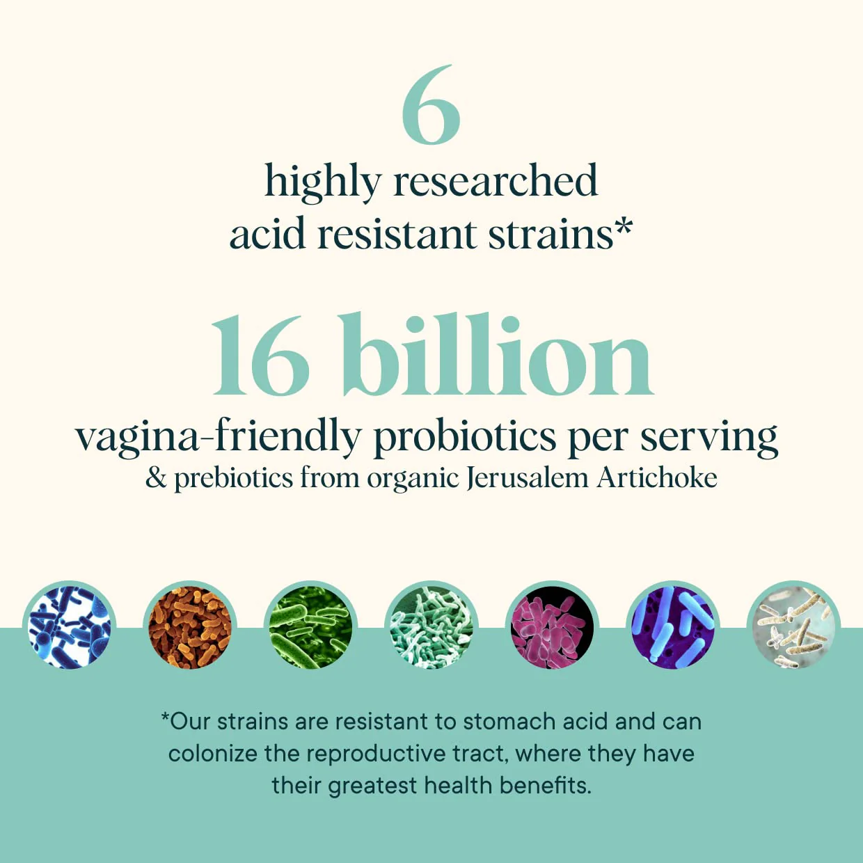 Ora Organic Prebiotics & Probiotics for Women — 16B CFU, 6 Strains, 60 Vegan Capsules - Image 7