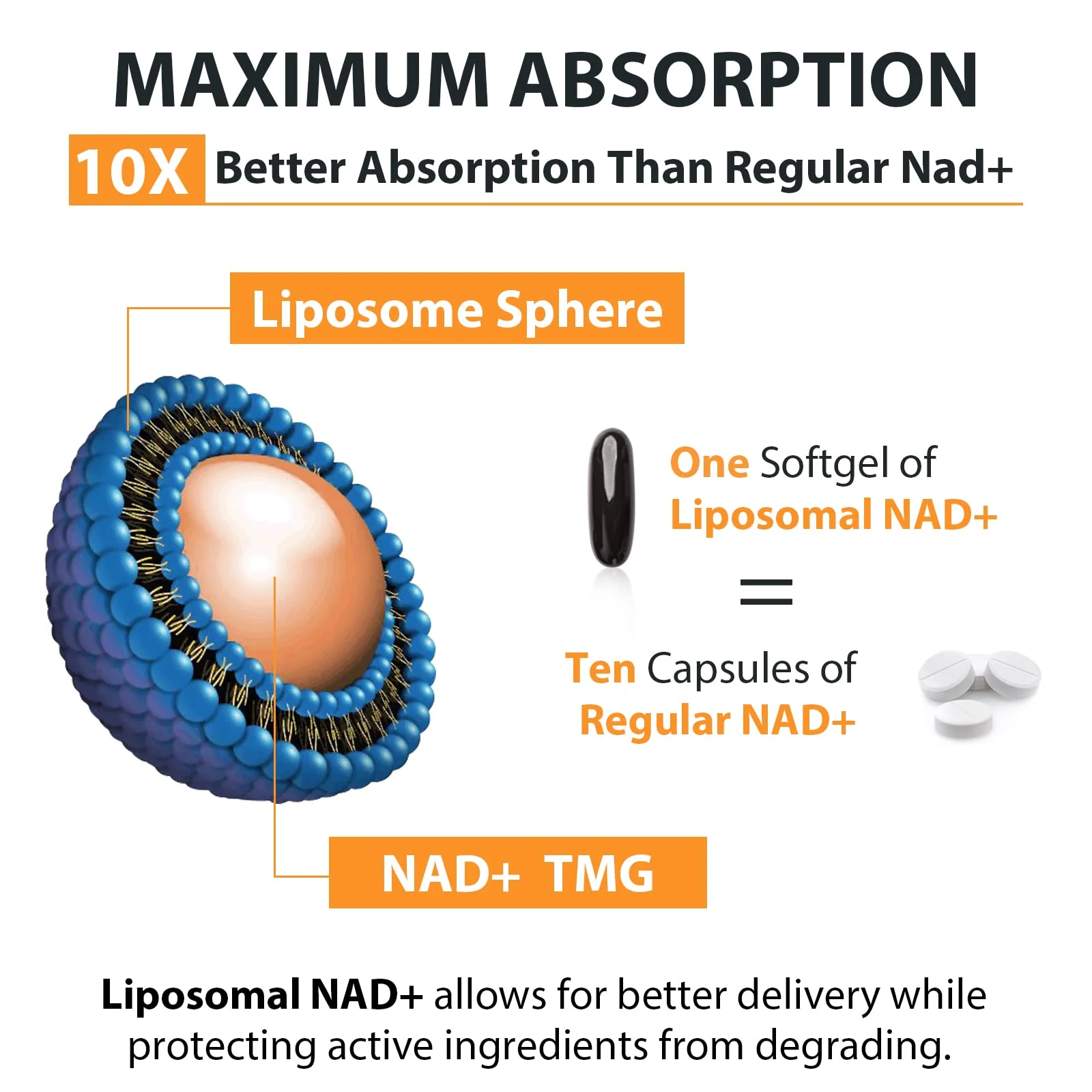 Orgabay Liposomal NAD+ Supplement 500 mg + 250 mg TMG – High Absorption NAD+ | 480 Softgels - Image 13