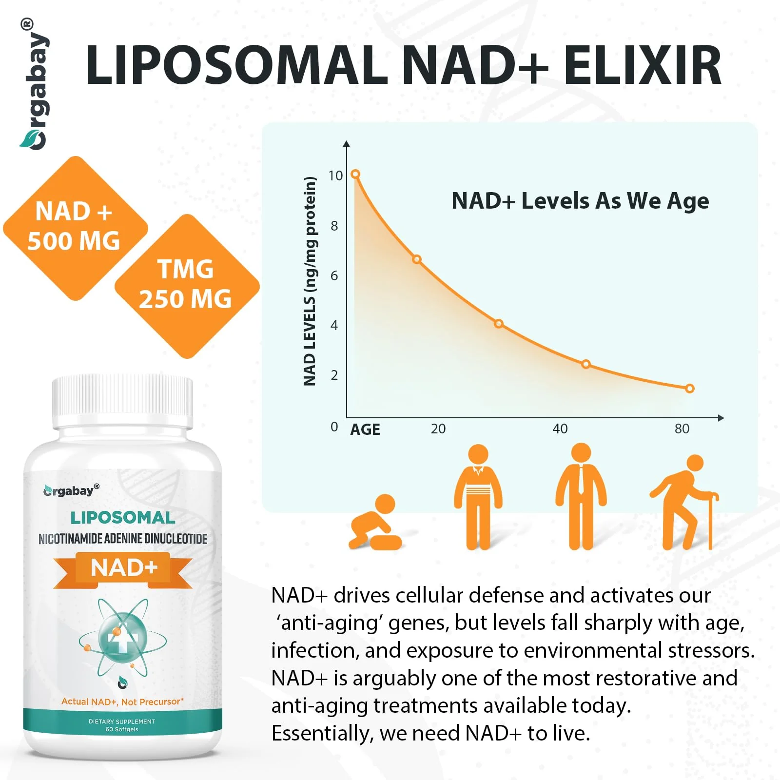 Orgabay Liposomal NAD+ Supplement 500 mg + 250 mg TMG – High Absorption NAD+ | 480 Softgels - Image 5
