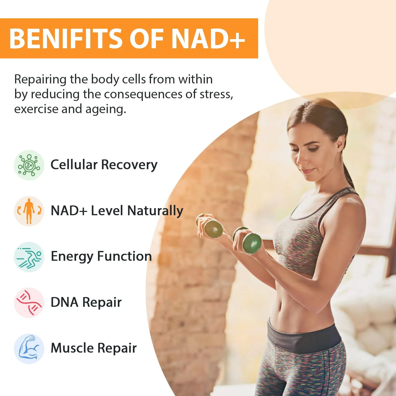 Orgabay Liposomal NAD+ Supplement 500 mg with 250 mg TMG — High Absorption, 180 Softgels - Image 8