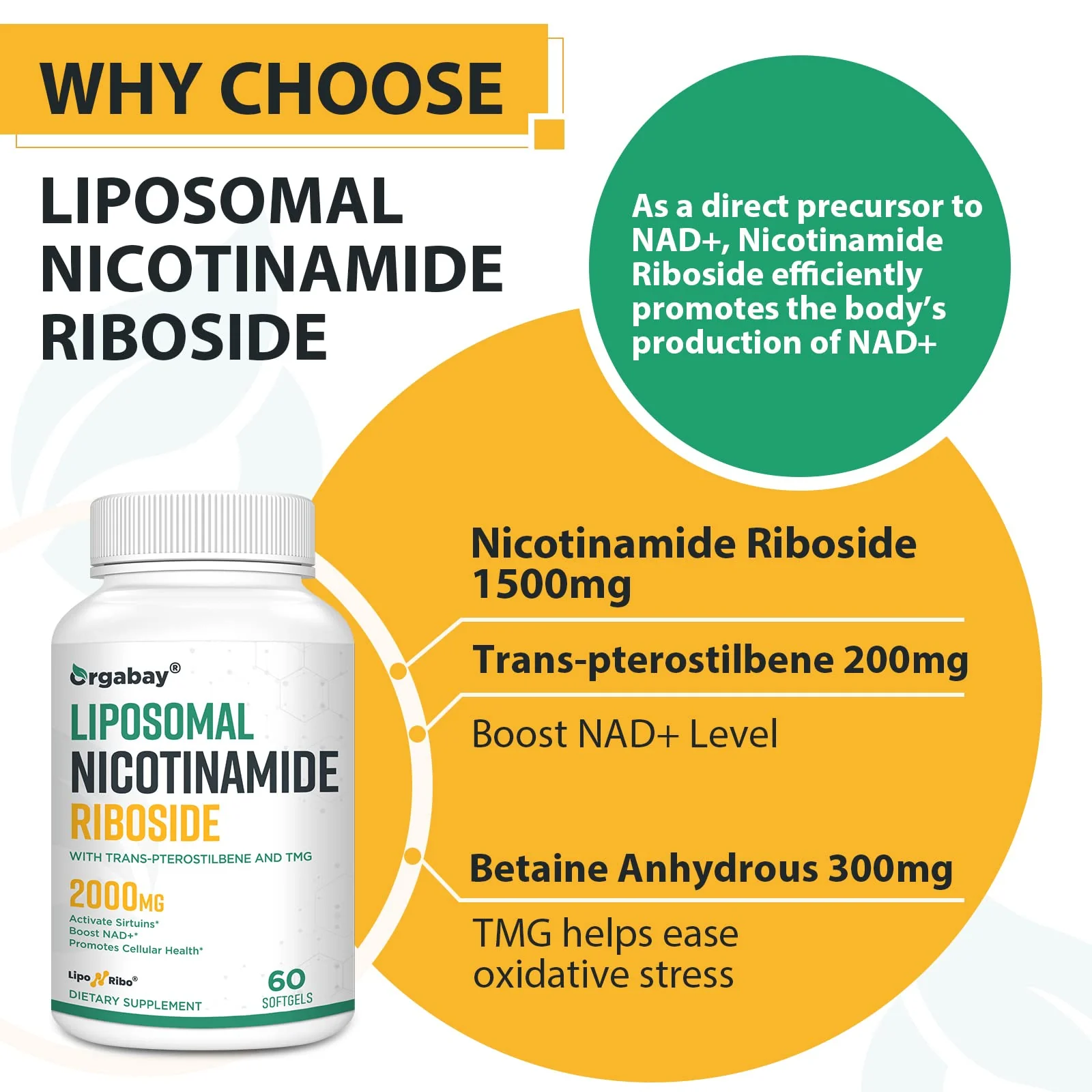 Orgabay Liposomal Nicotinamide Riboside 2000 MG with TMG and Pterostilbene – NAD+ Support for Healthy Aging, 120 Count - Image 5