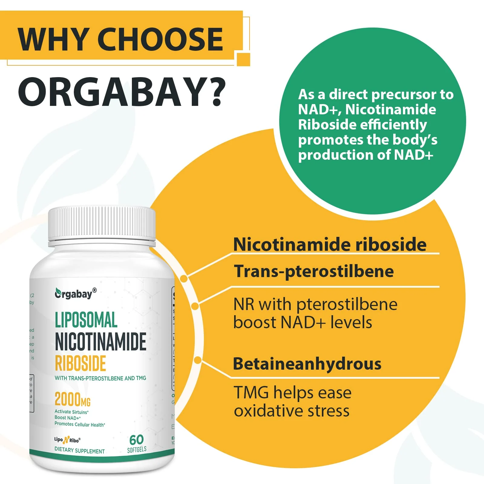 Orgabay Liposomal Nicotinamide Riboside 2000 MG with TMG and Pterostilbene – NAD+ Support for Healthy Aging (480 Softgels) - Image 11